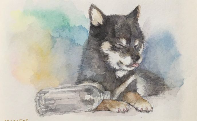 水彩スケッチ(動物)