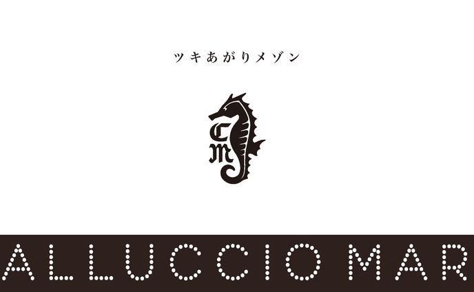 アパレル／cavalluccio marino パンフレット