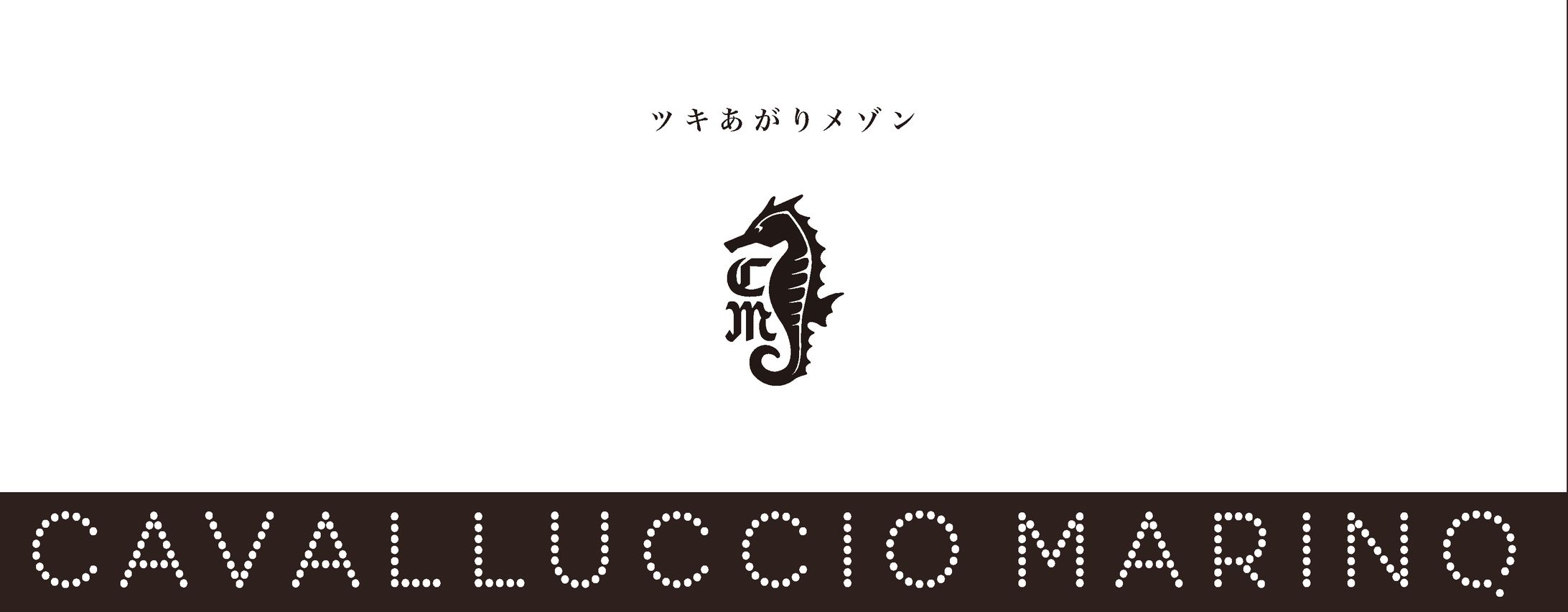 アパレル／cavalluccio marino パンフレット-1