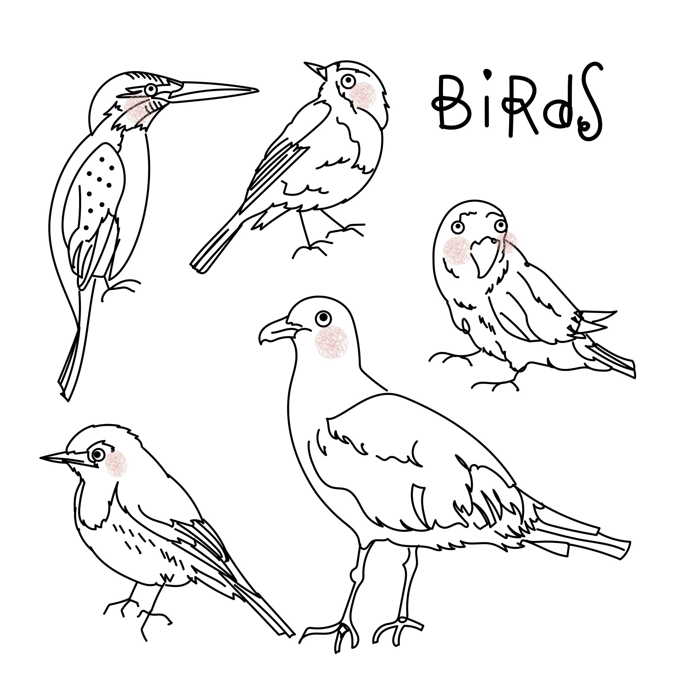 Birds-1