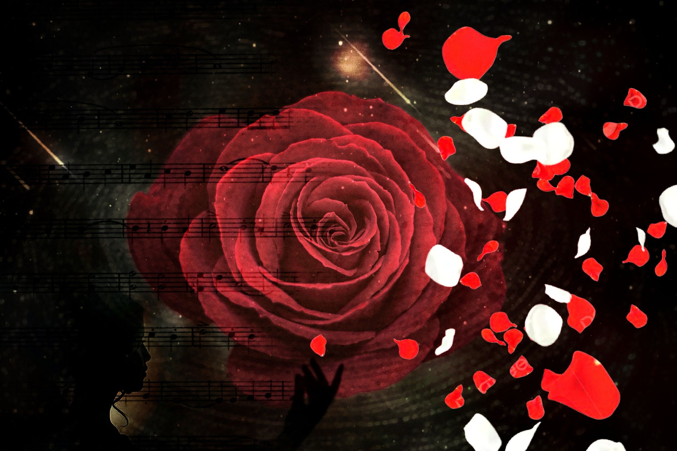 Original Show content-1