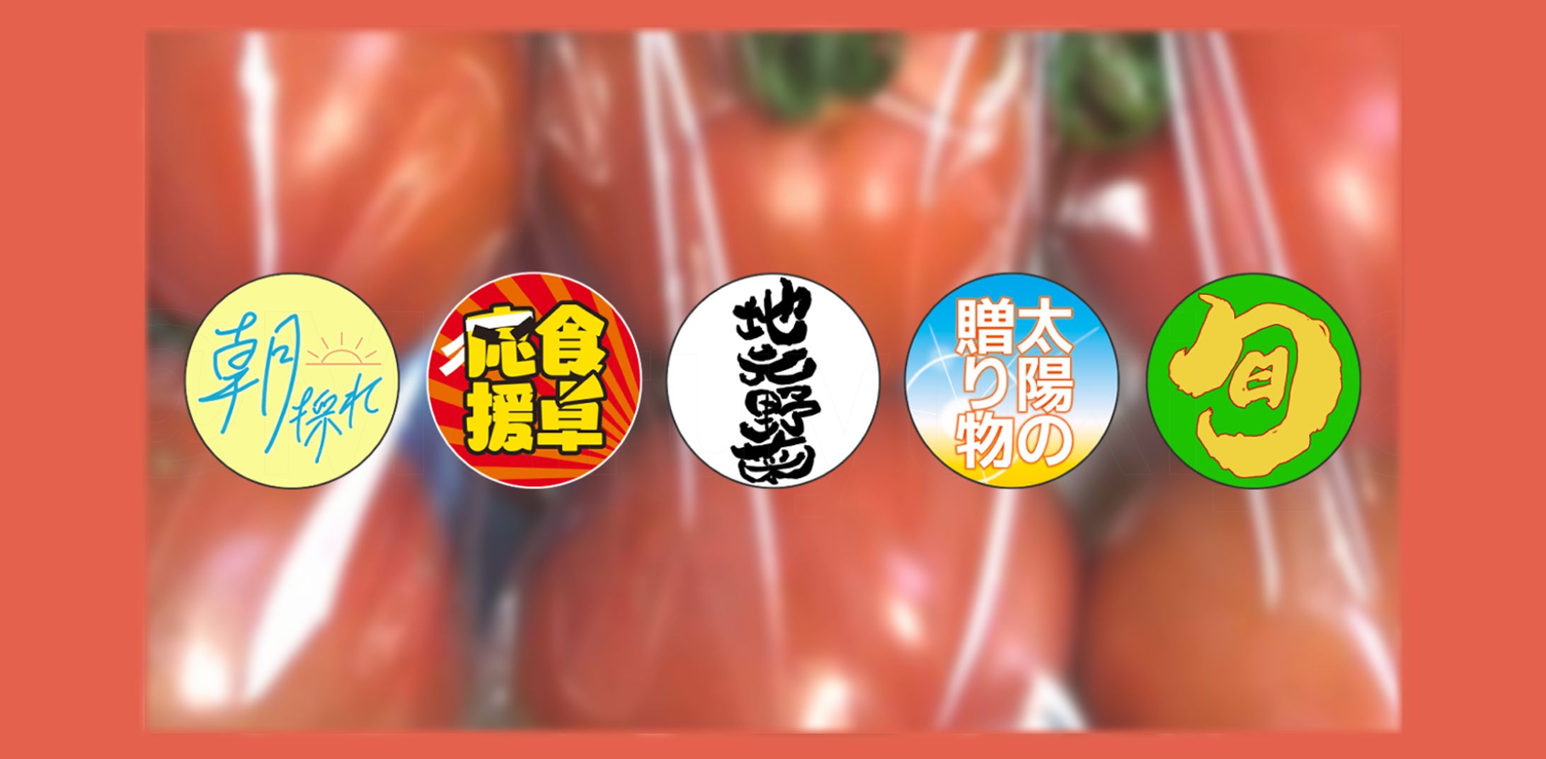 新鮮野菜販促シール-1
