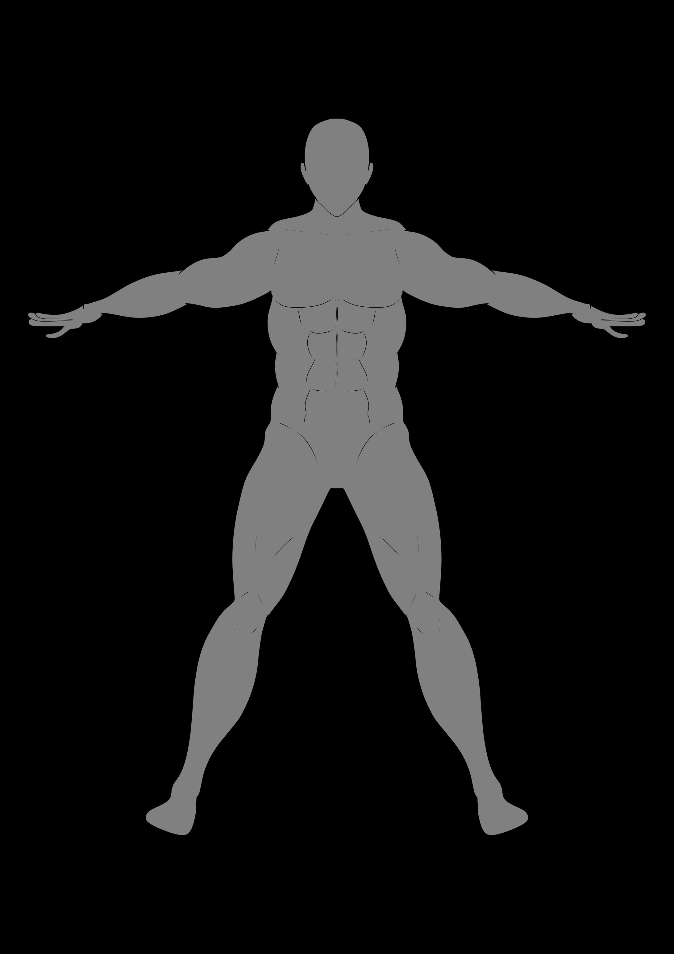 体形　男性 キャラクターデザインシート　2D-1