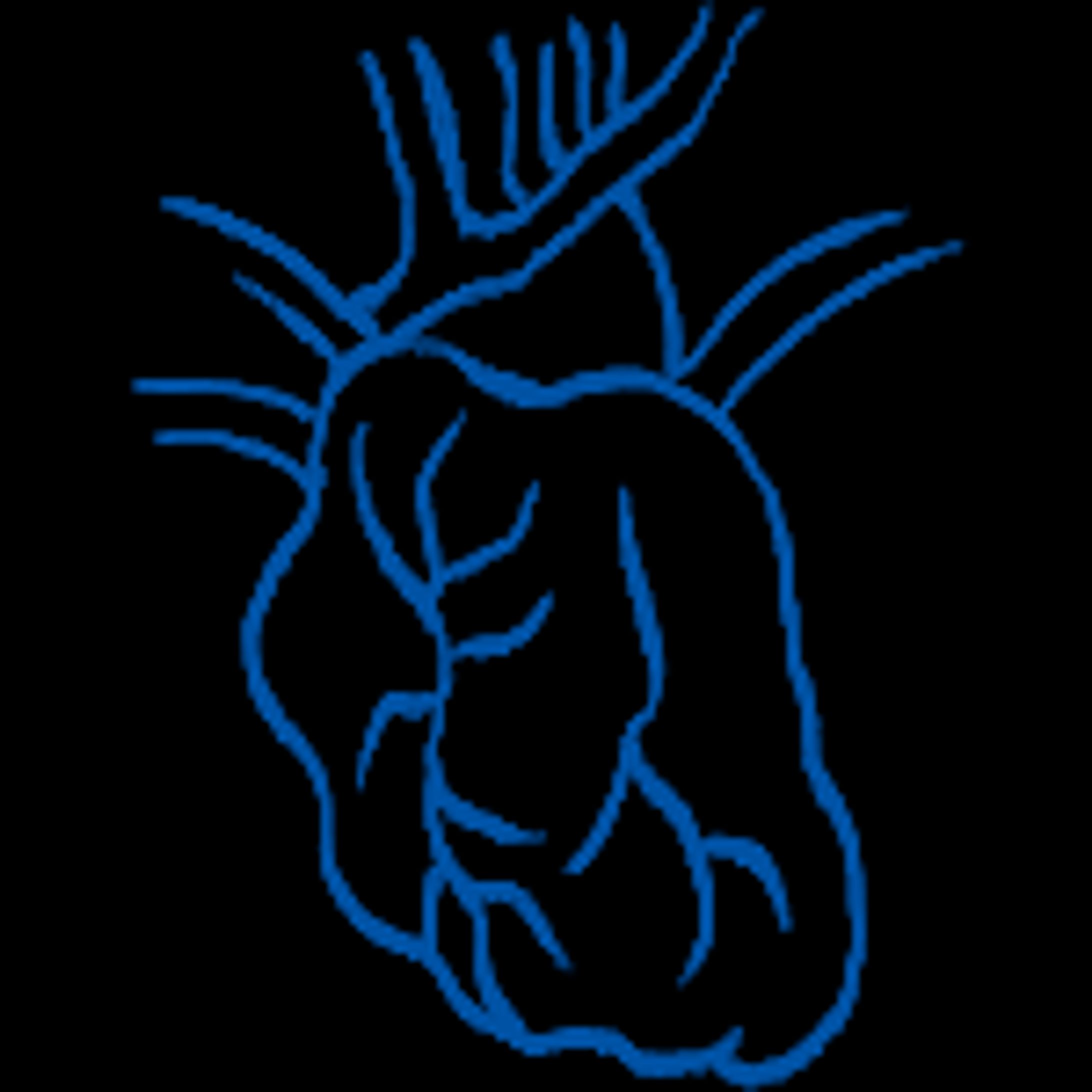 【医療系】臓器イラストアイコン-1