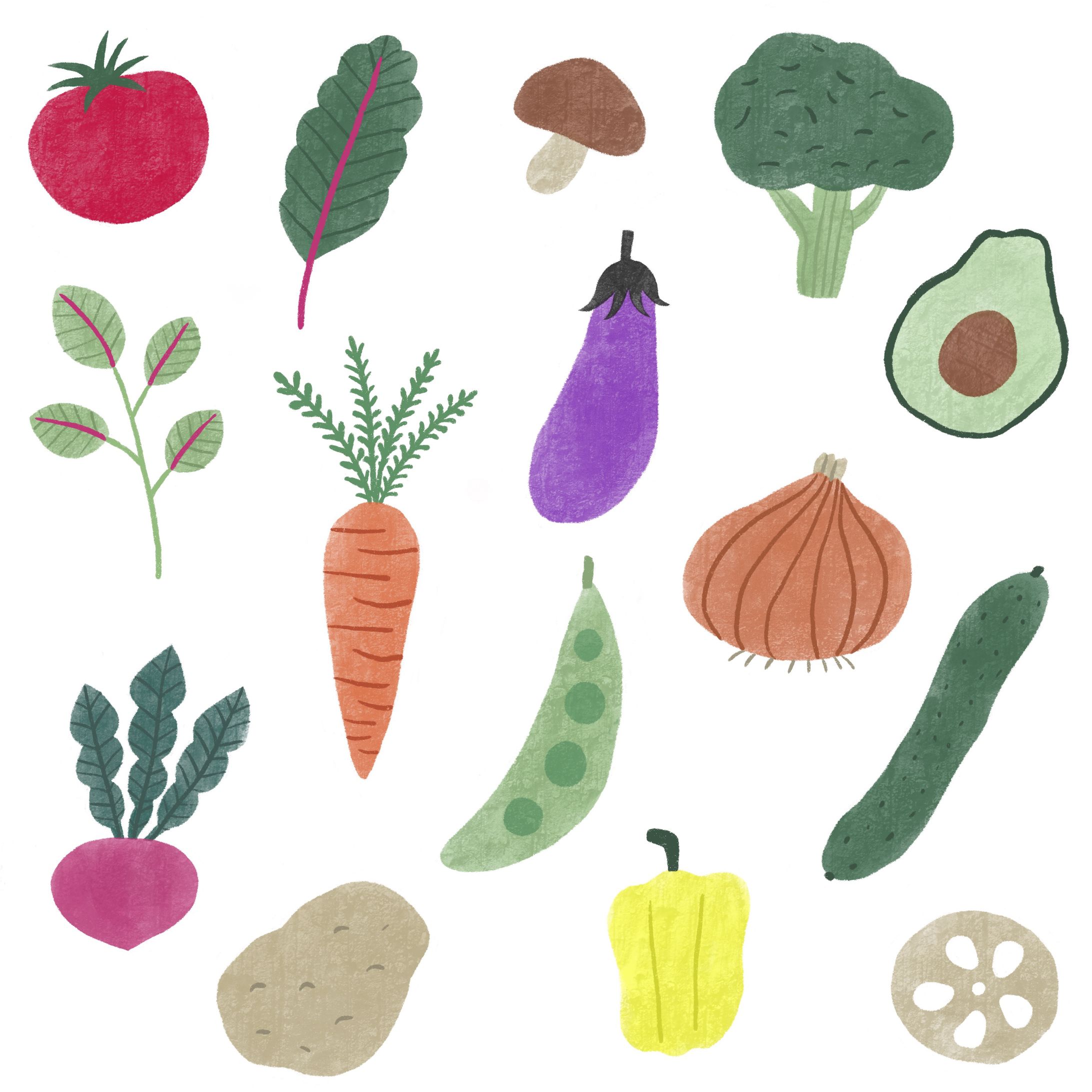 イラスト | 野菜-1