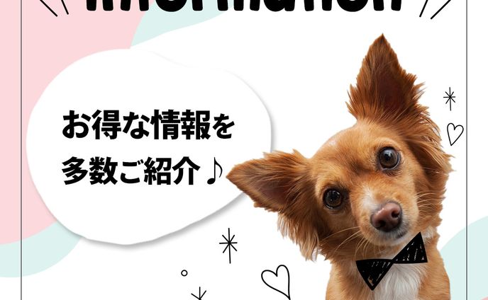 提供実績、インスタ