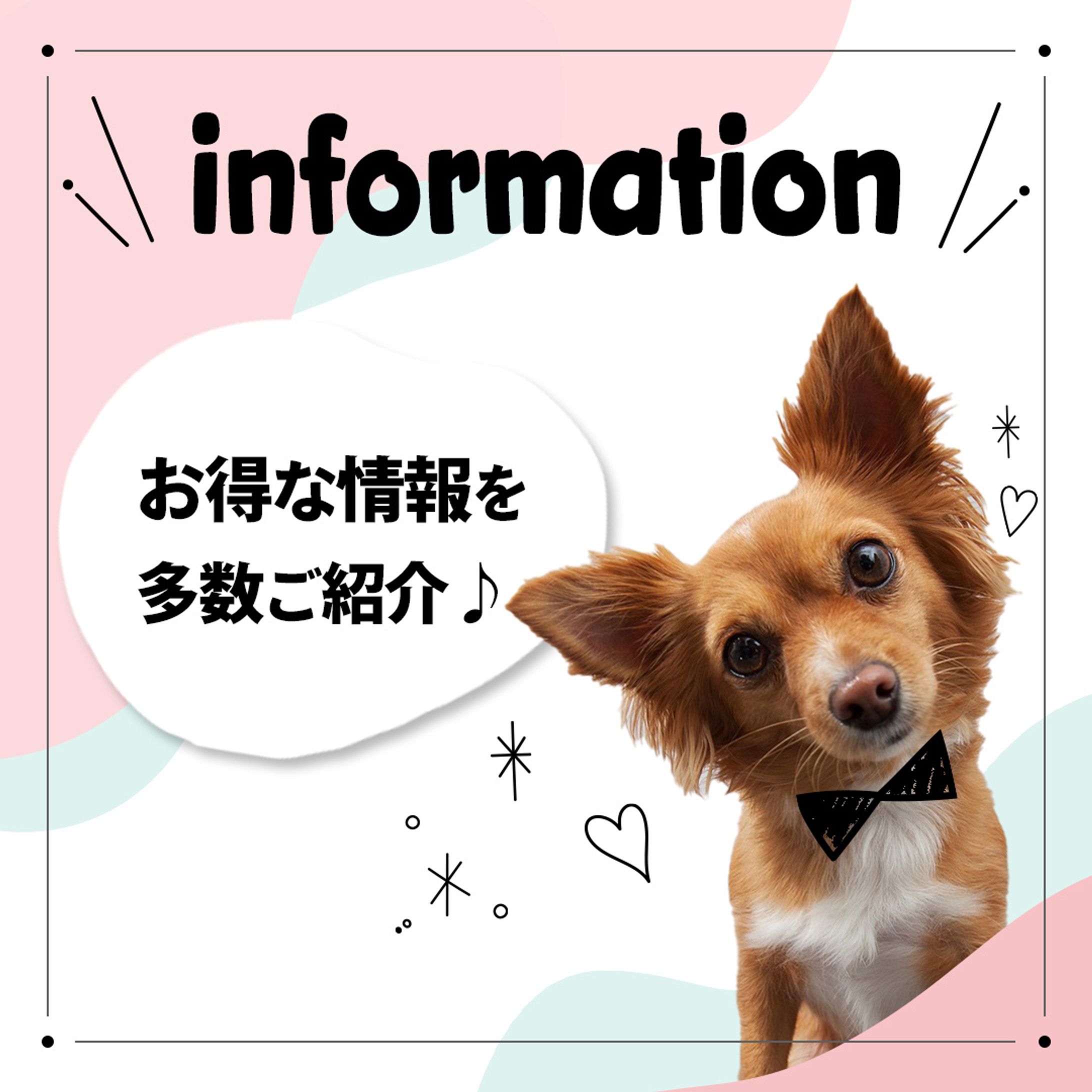 【インスタバナー】実績-1
