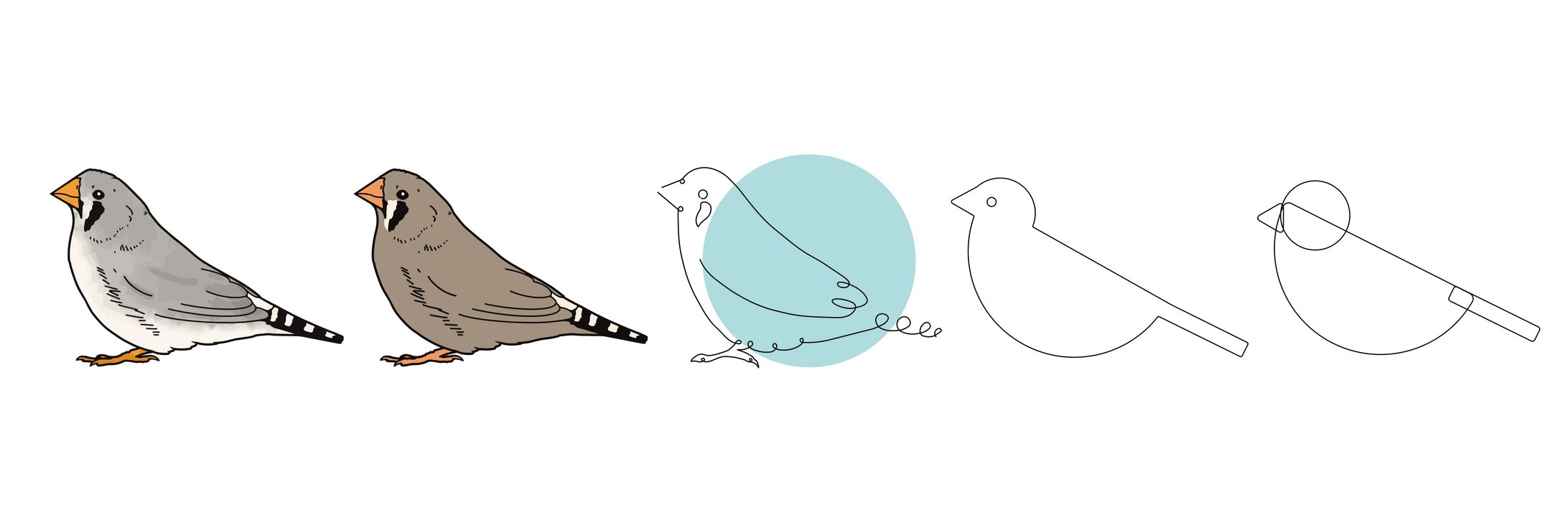 マルドリラボ．ブランディング用デザイン-1