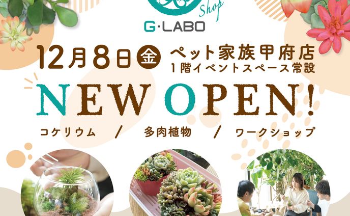 チラシ、show room
