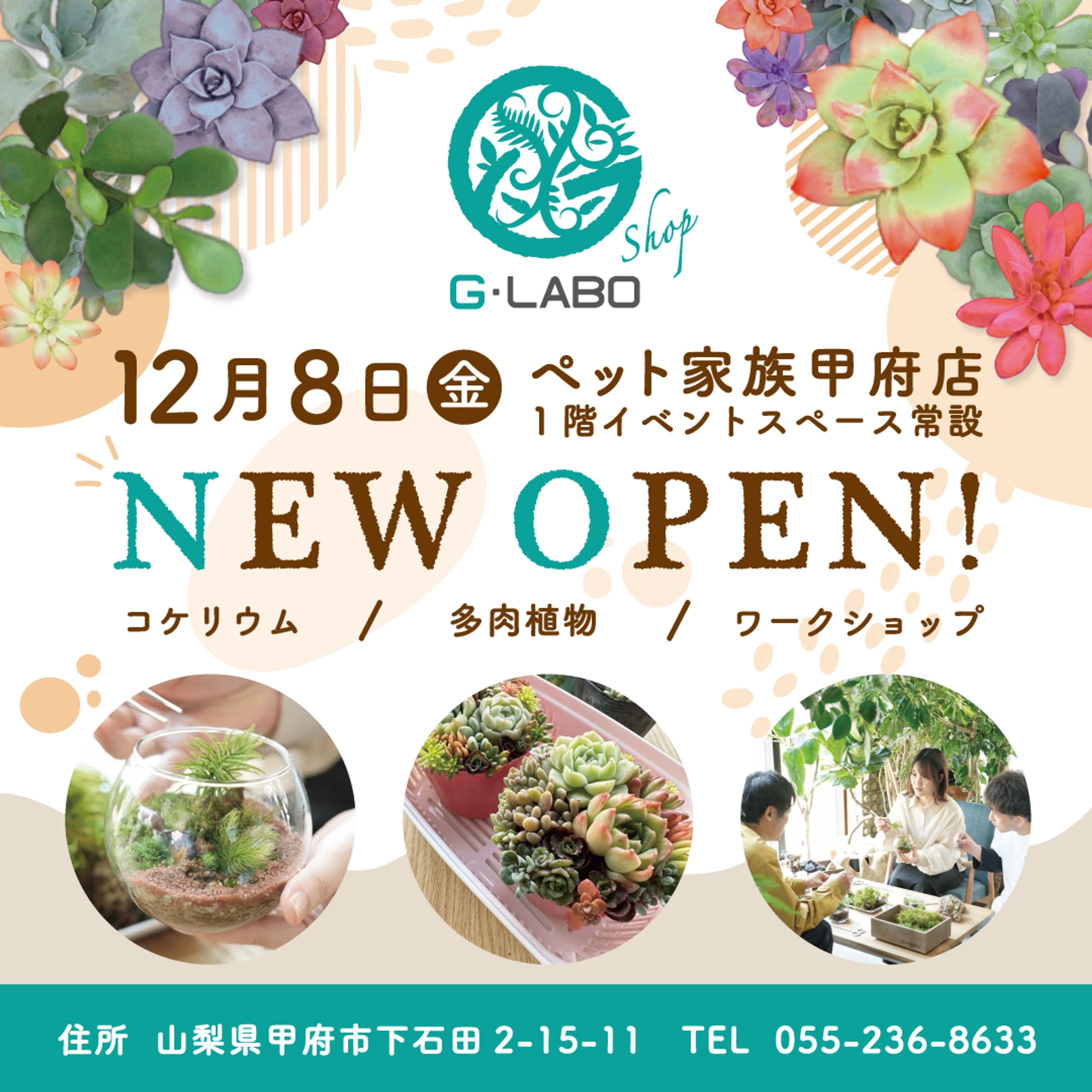 G LABO shop バナー+告知チラシ-1