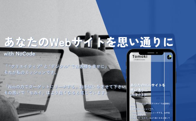 ポートフォリオ、キャリアについて
