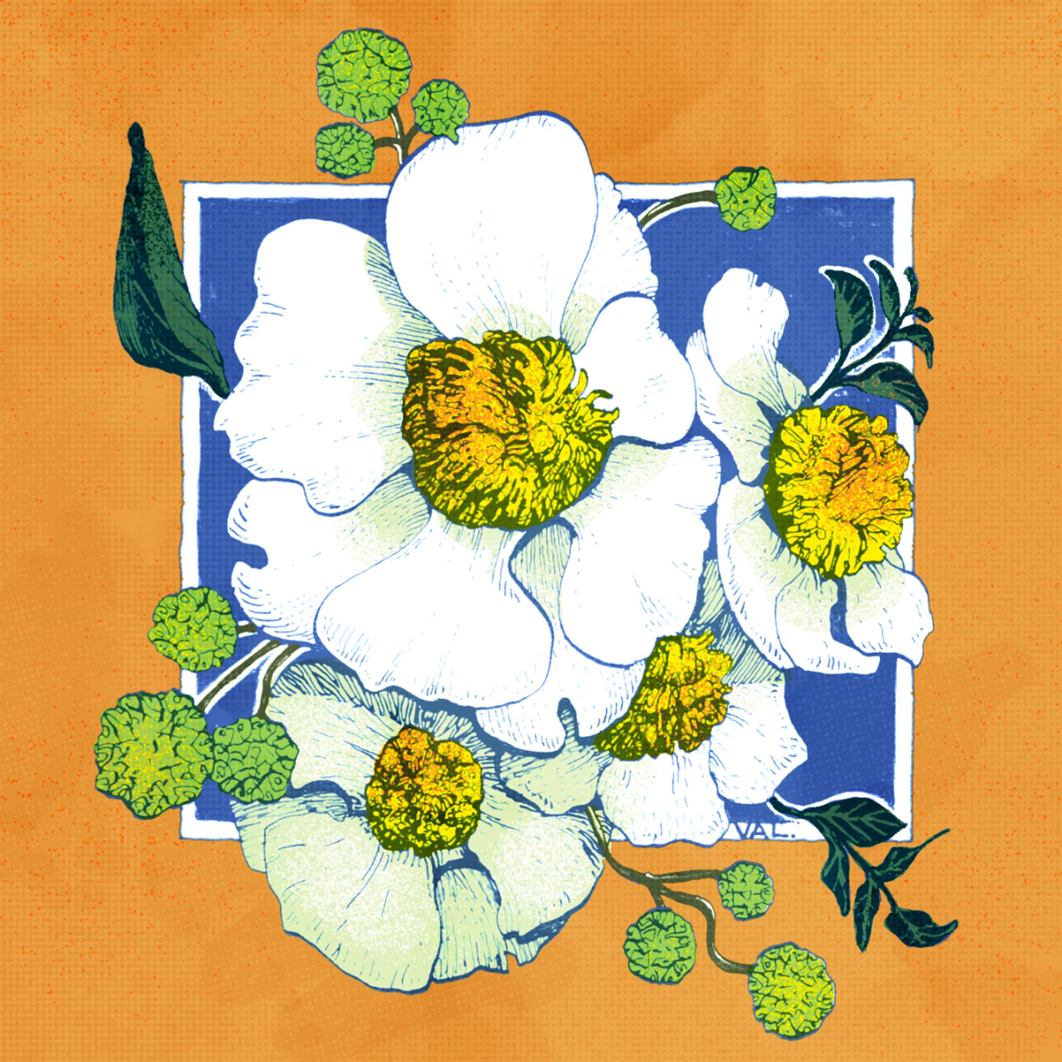 Botany / colored-1