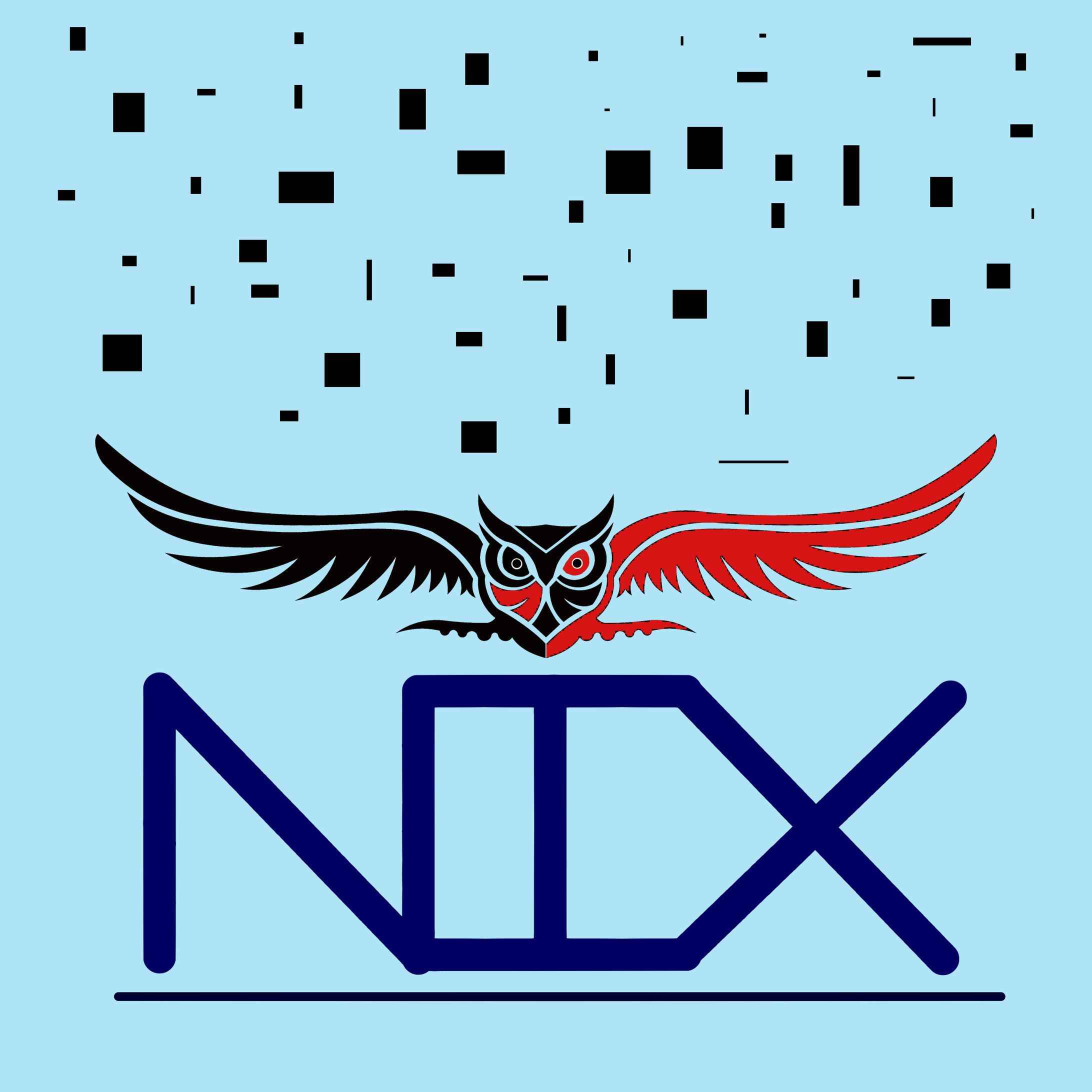 NIX_ Branding-1