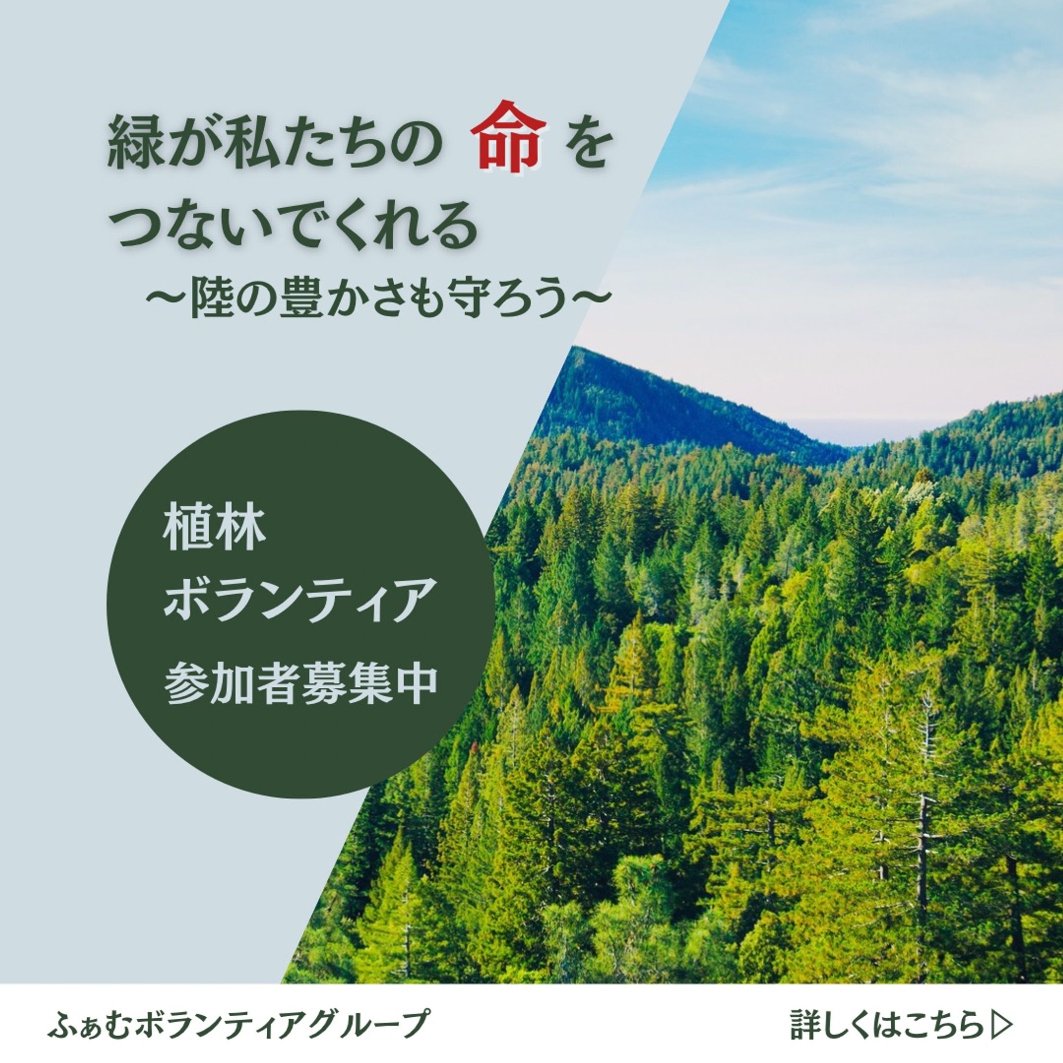 植林ボランティア【バナー】-1