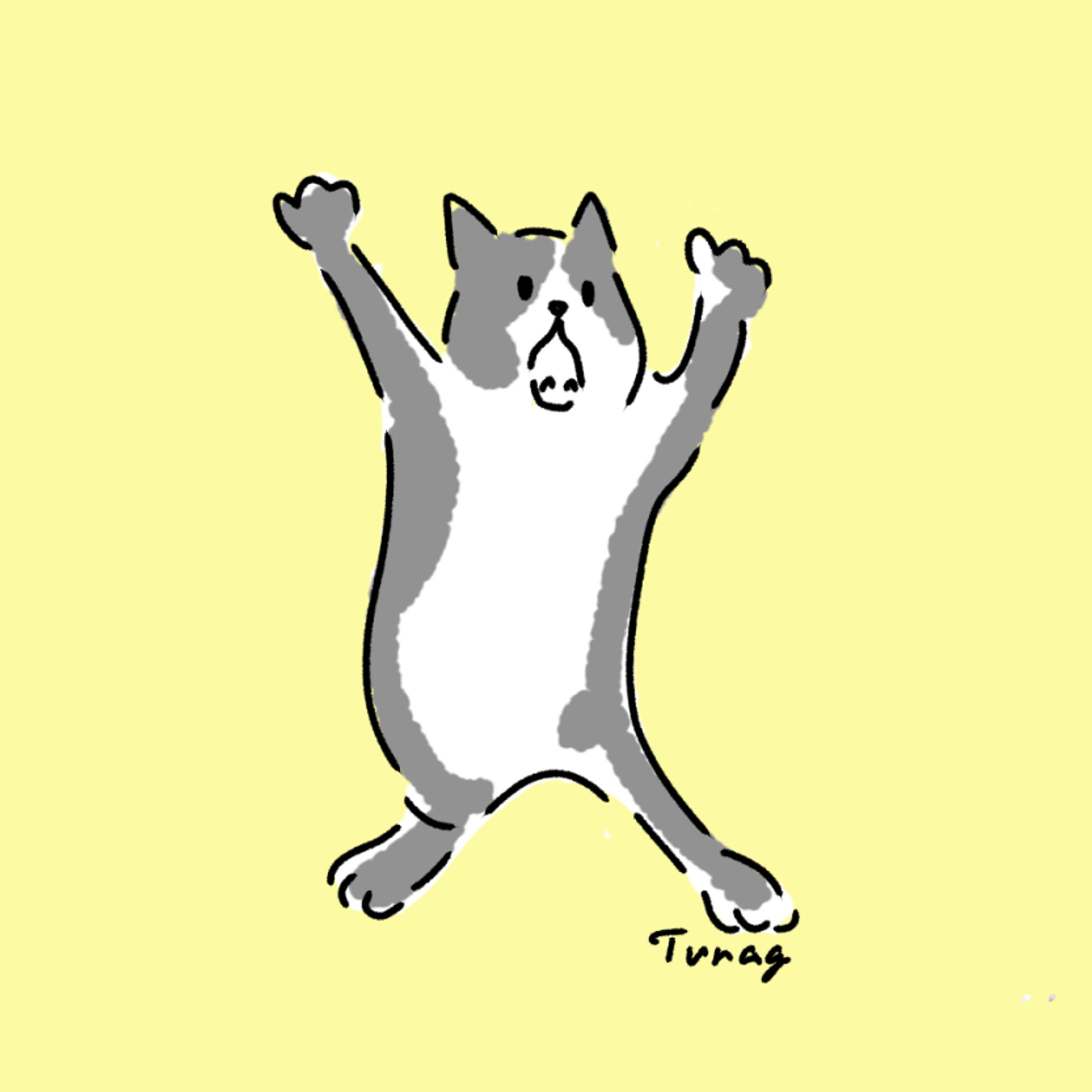 おどろいたねこ-1