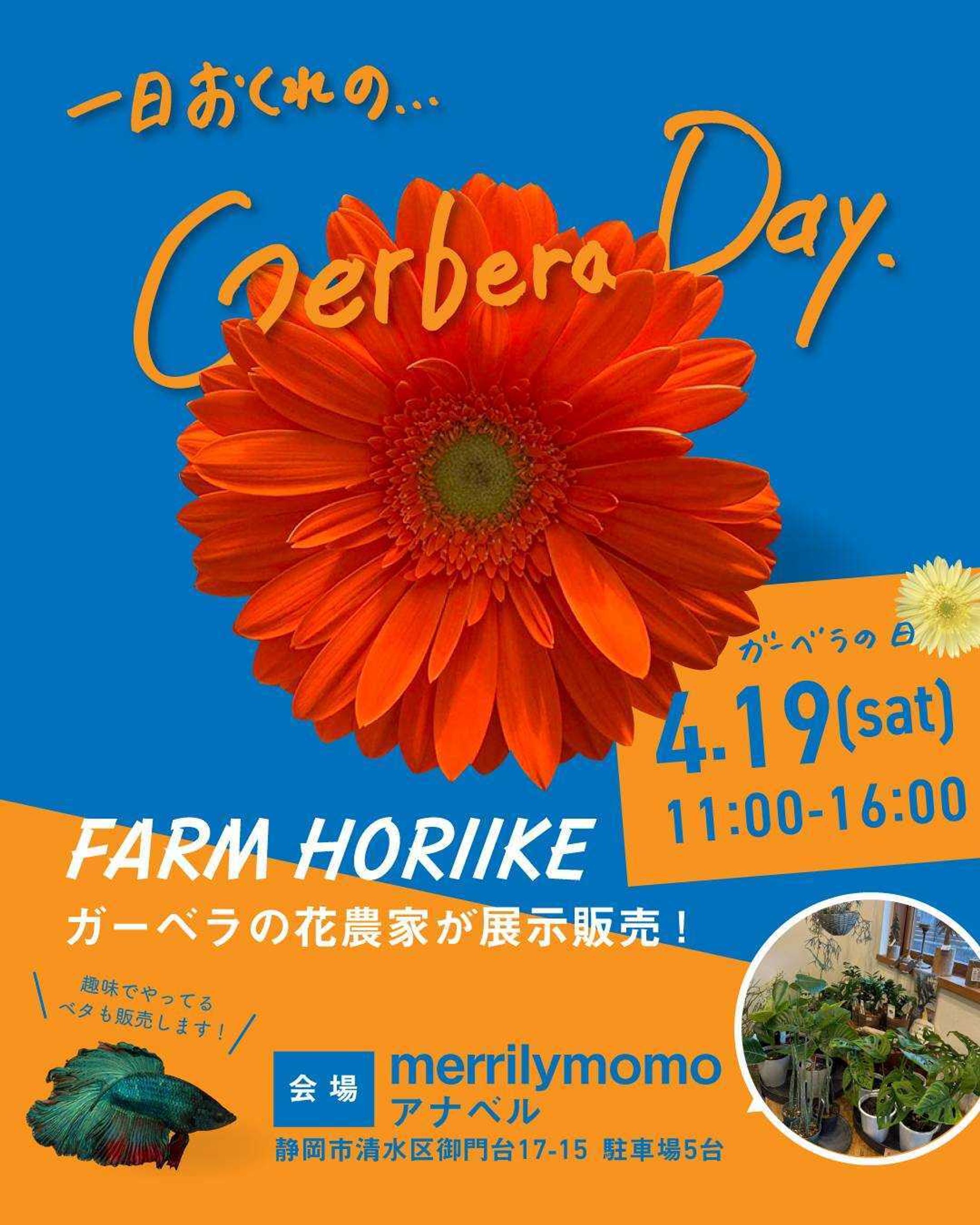 イベントInstagramフィード投稿-1