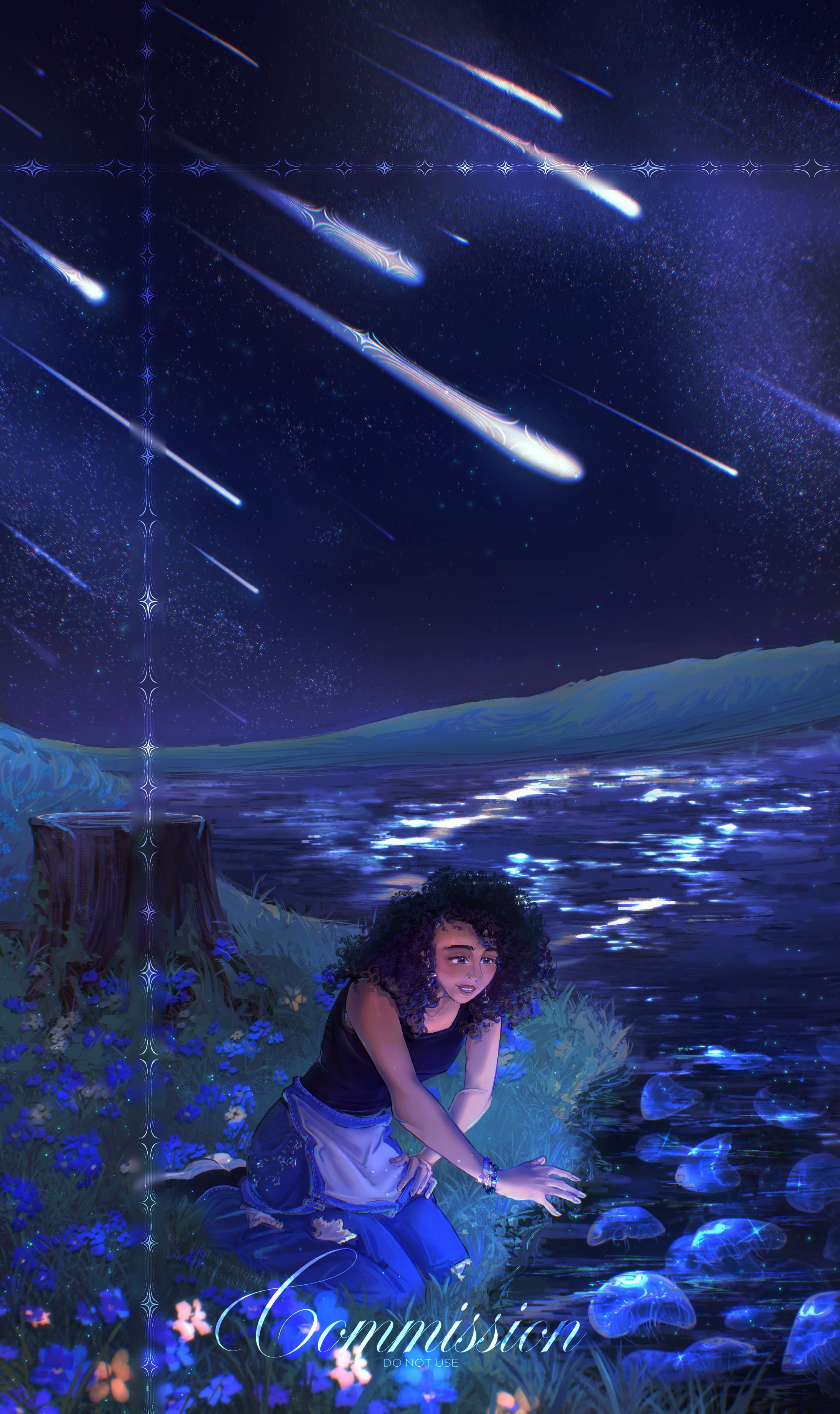 Among the sea of stars - commission-1
