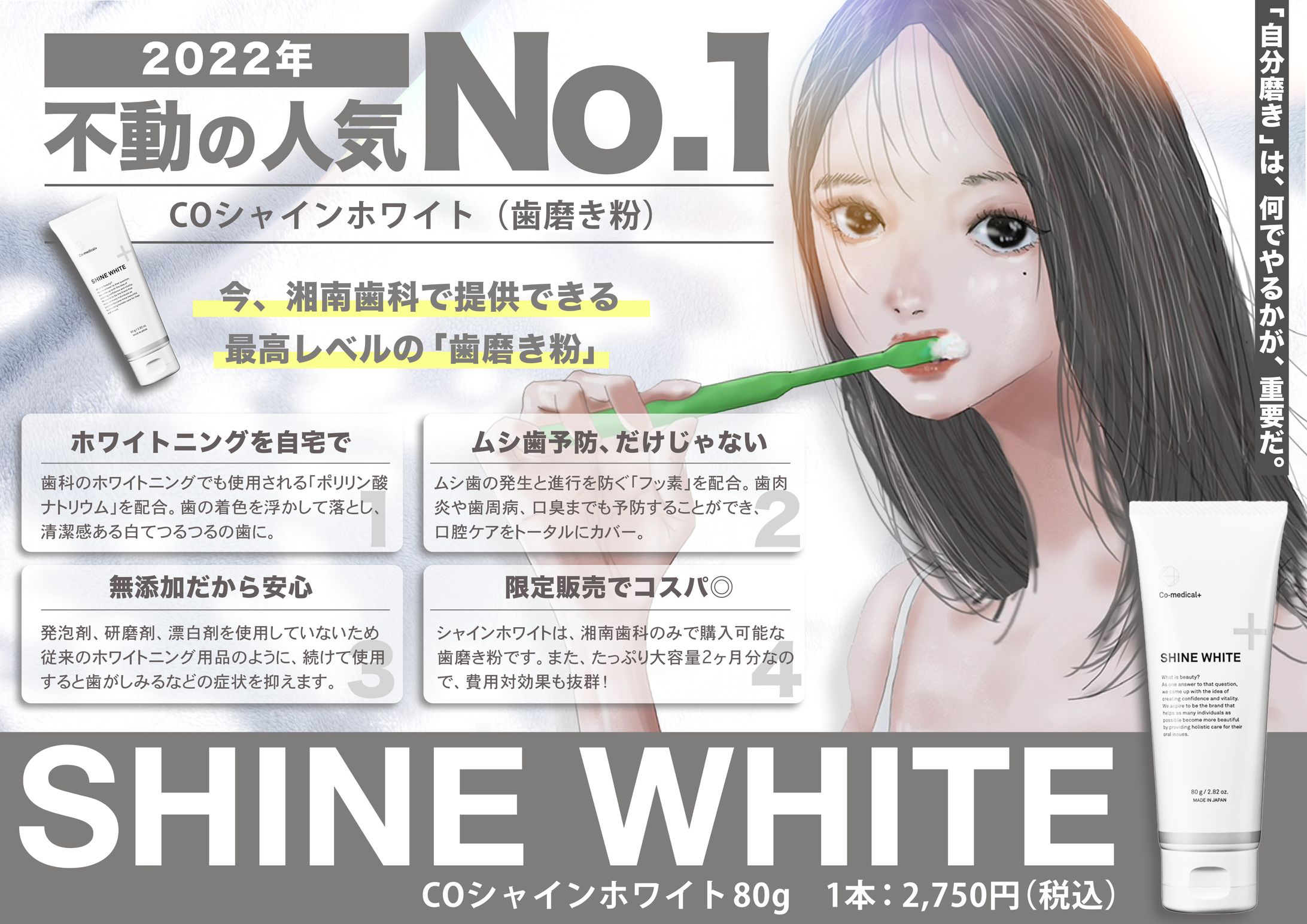 チラシ｜商品紹介-1