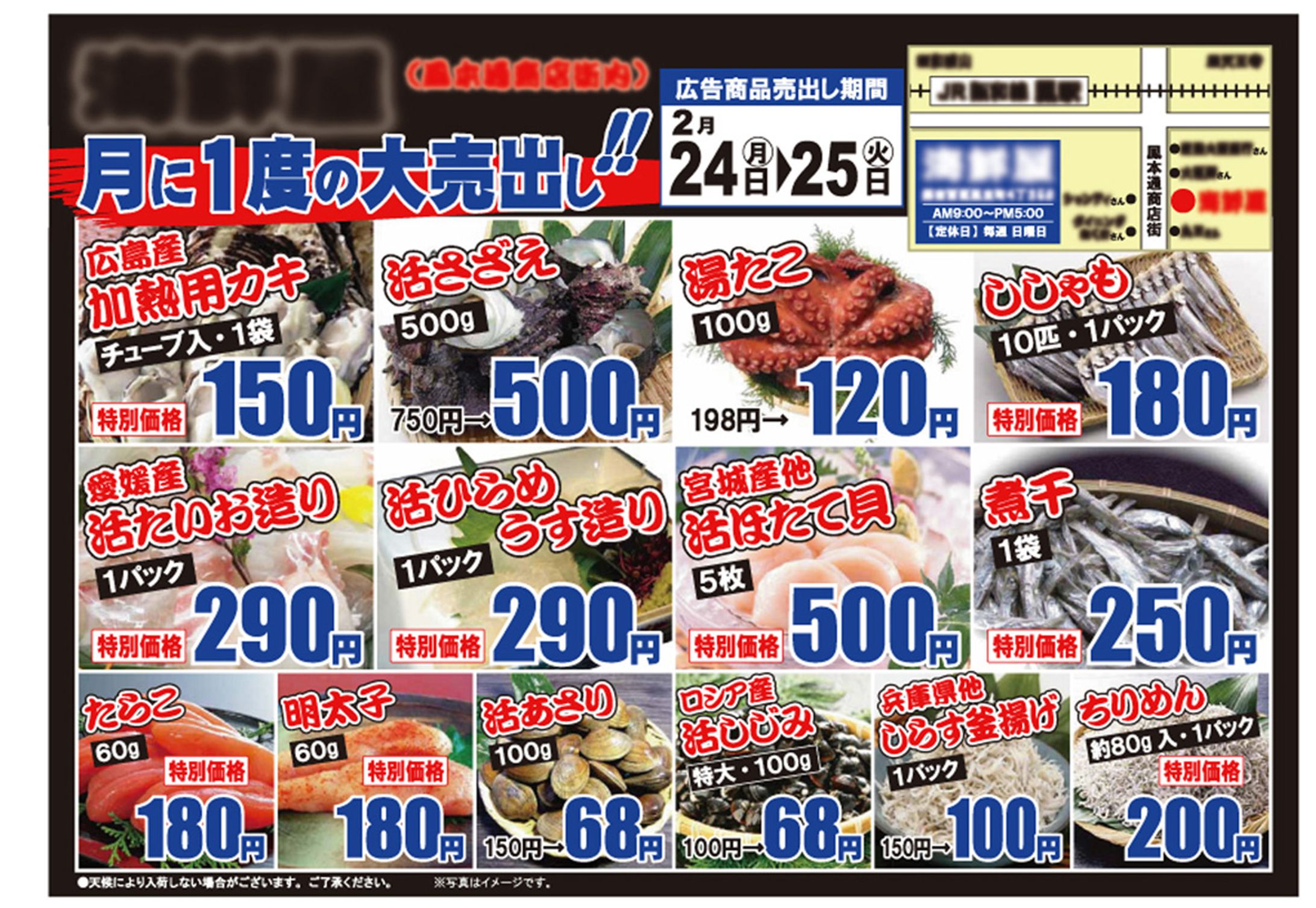 鮮魚店チラシ-1