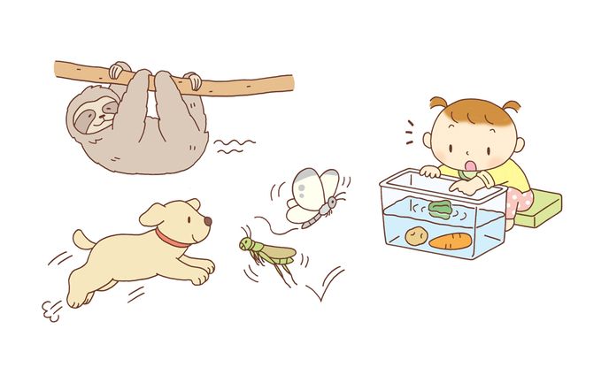 メイト　0歳からのかがく遊びイラスト