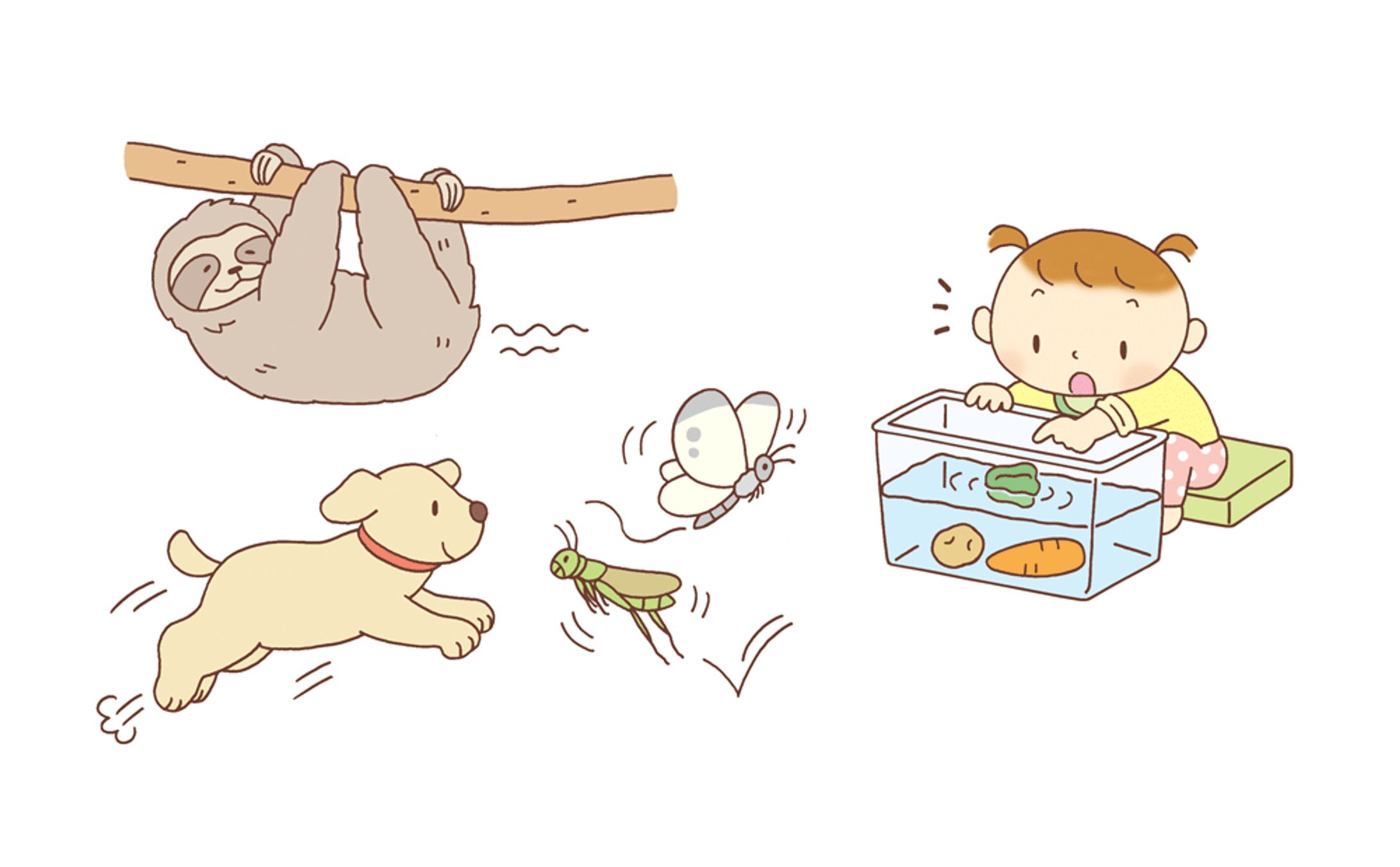 メイト　0歳からのかがく遊びイラスト-1