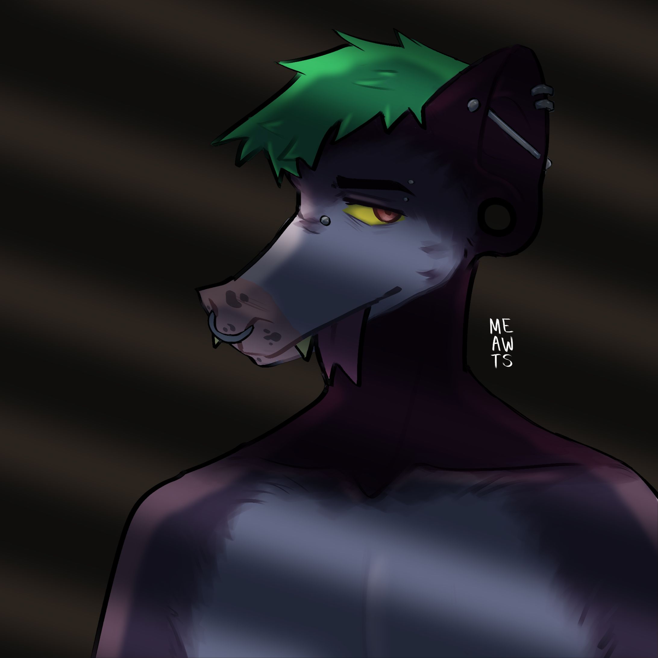 Headshot Possum OC-1