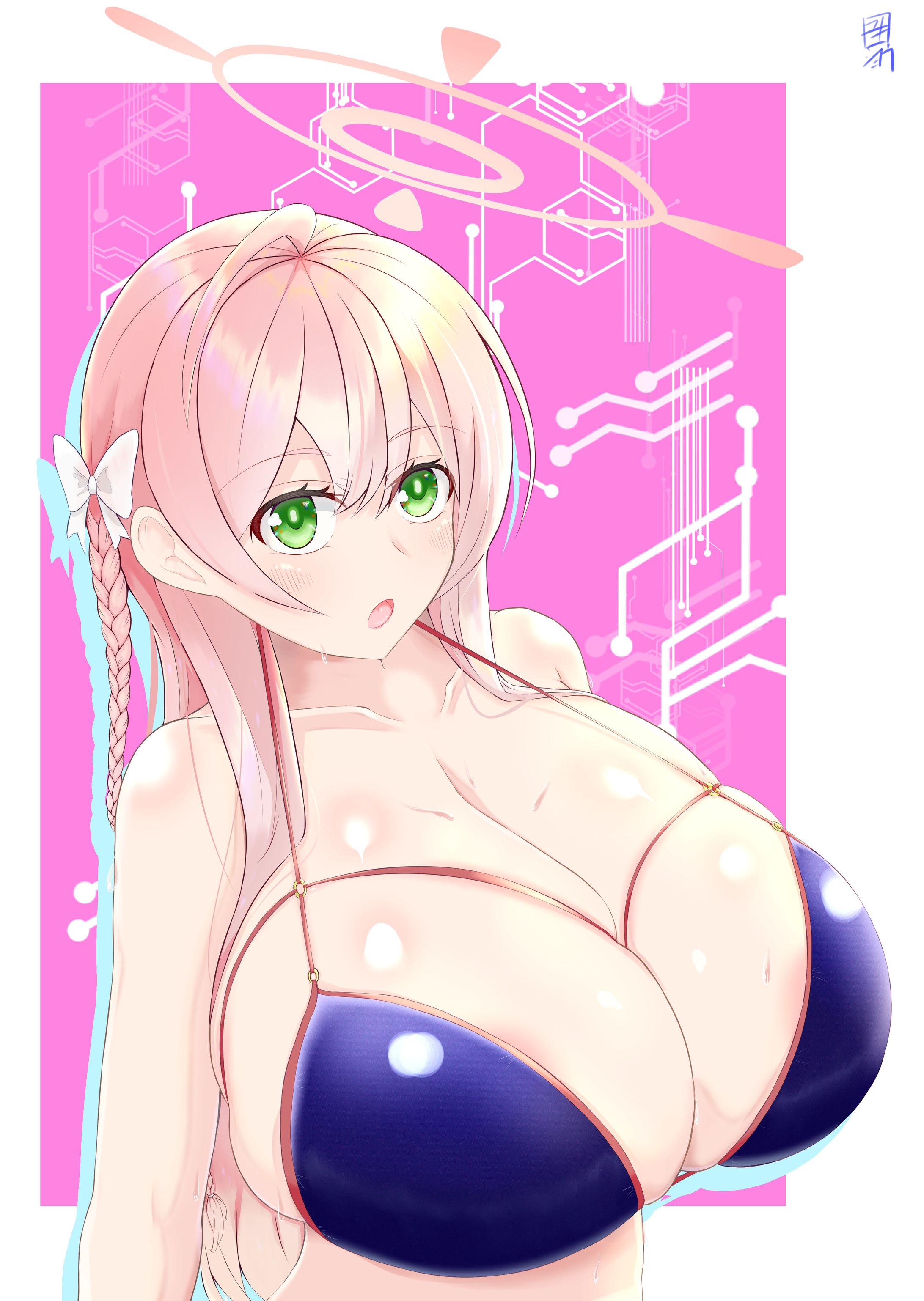 ハナコ　見下ろし-1