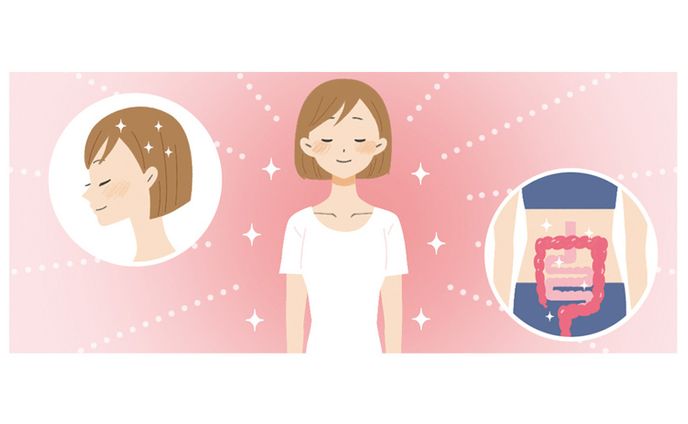 日清製粉グループ「ウェルナビ」よみものカットイラスト