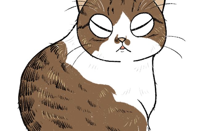 cat illustration４
