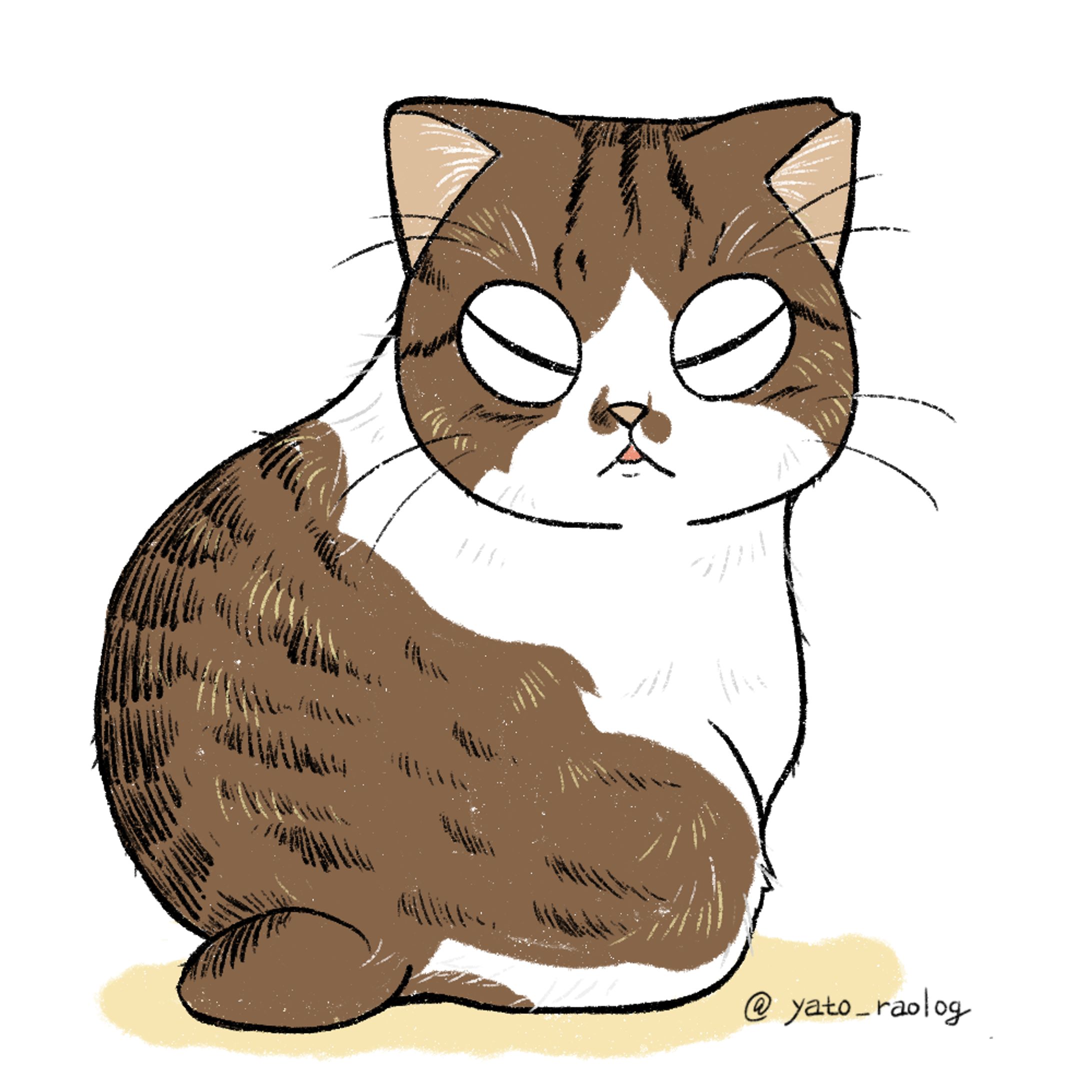 cat illustration４-1