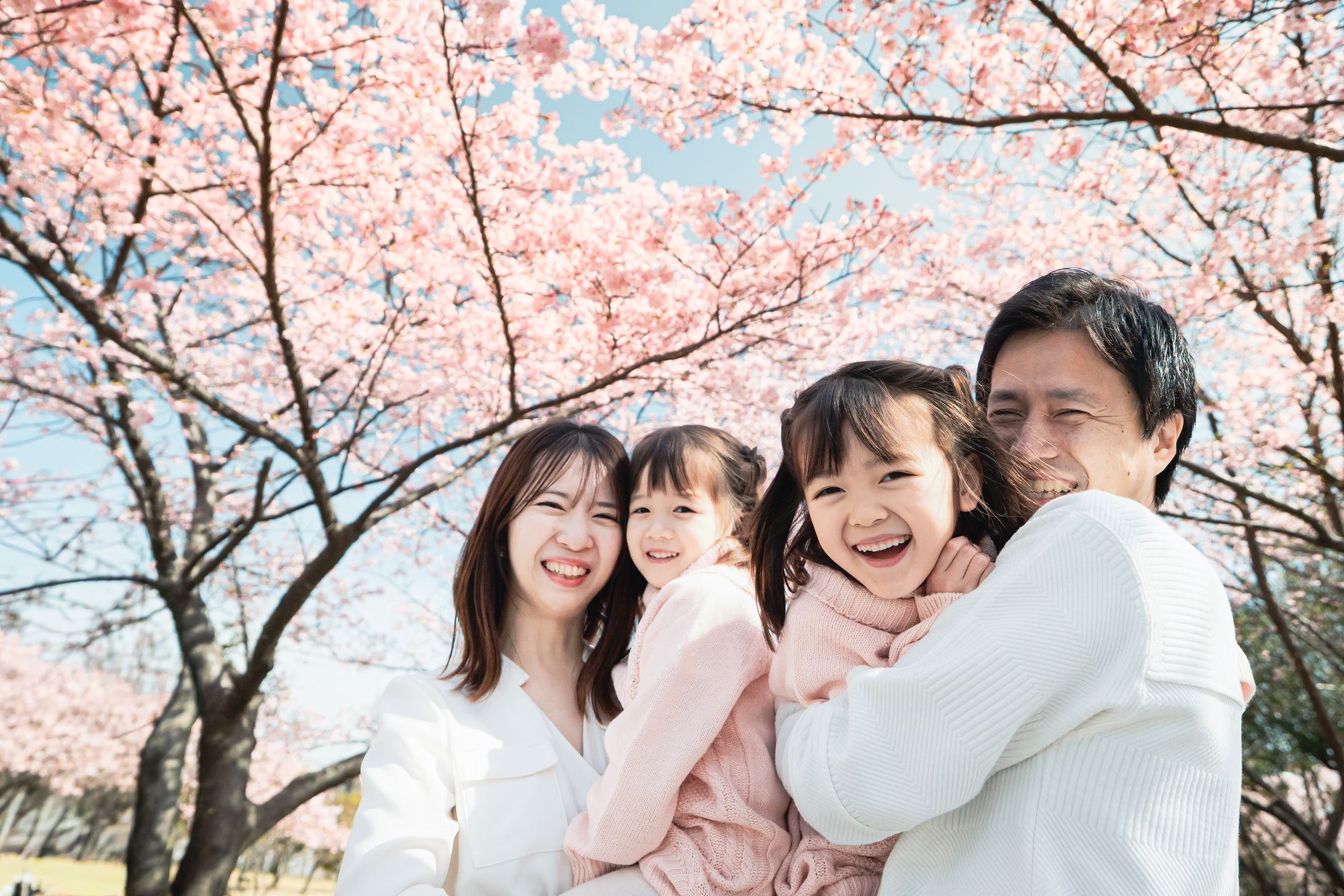 20260301 DSC08326 Edit-1