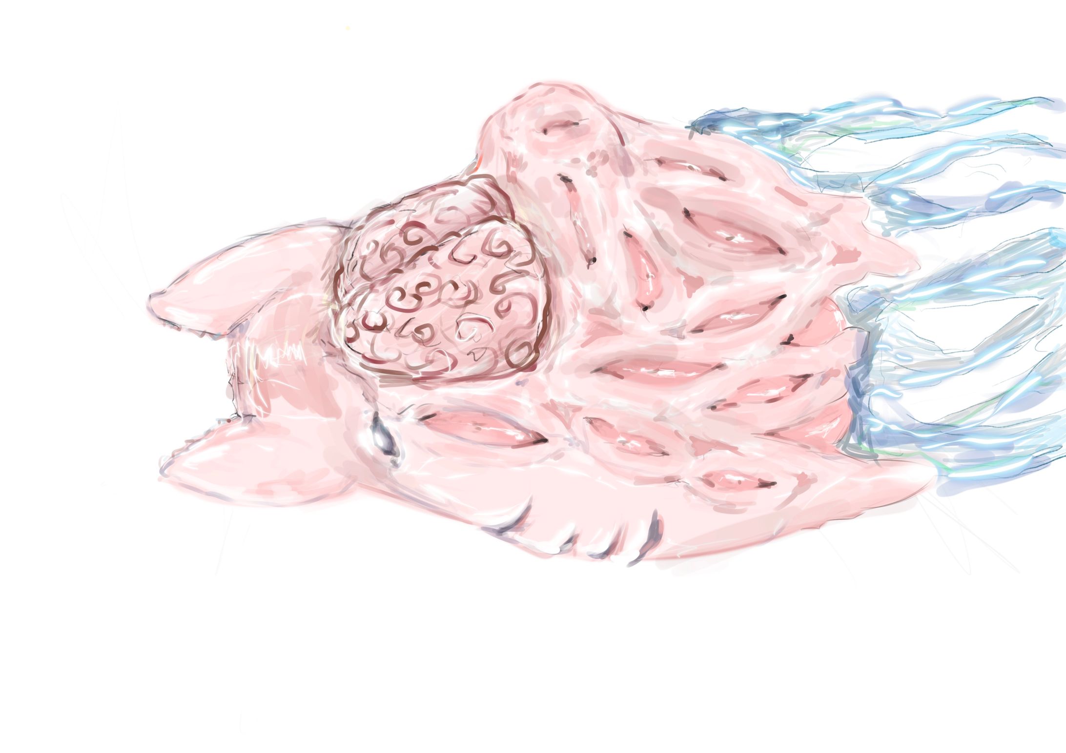 4C54CD78 2123 48D5 9063 169AEAD7ED18-1