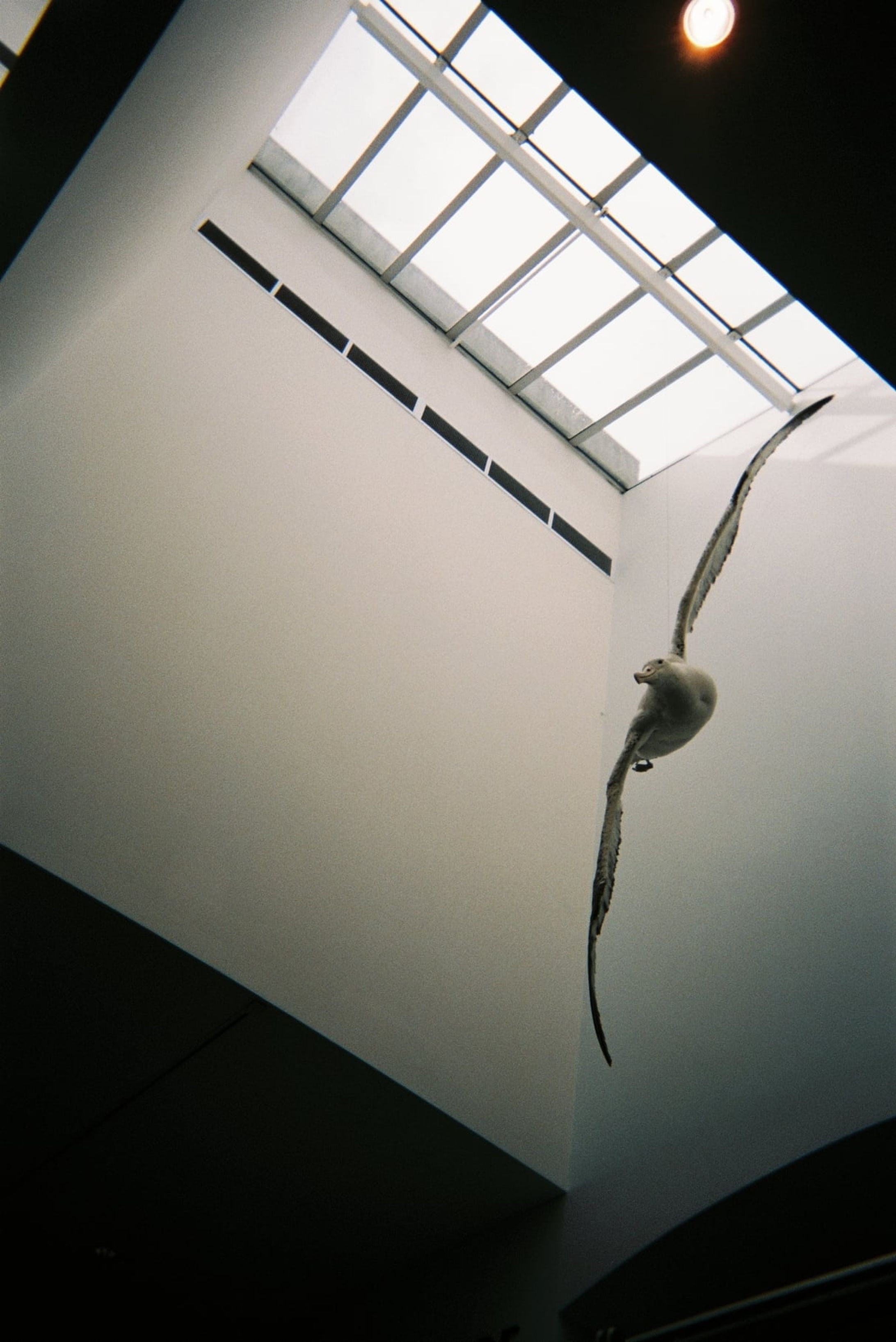 Best of Analog #2-1