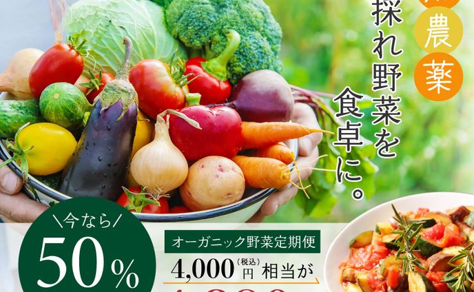 オーガニック野菜定期便 
