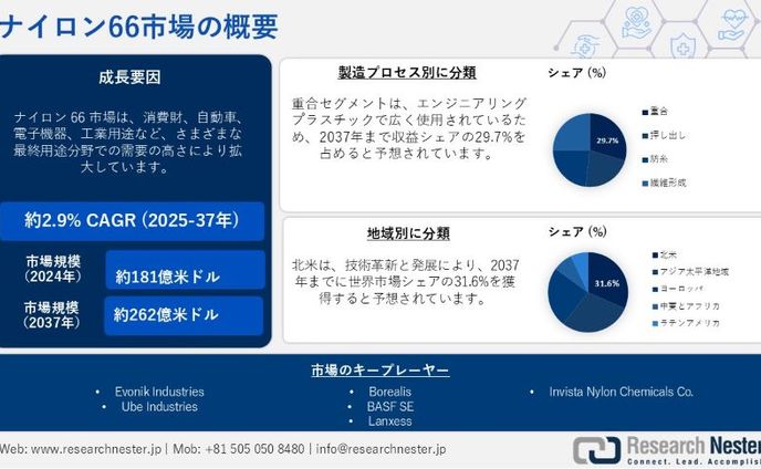 ナイロン66市場調査: 業界分析、技術革新、トレンド、成長 2025-2037