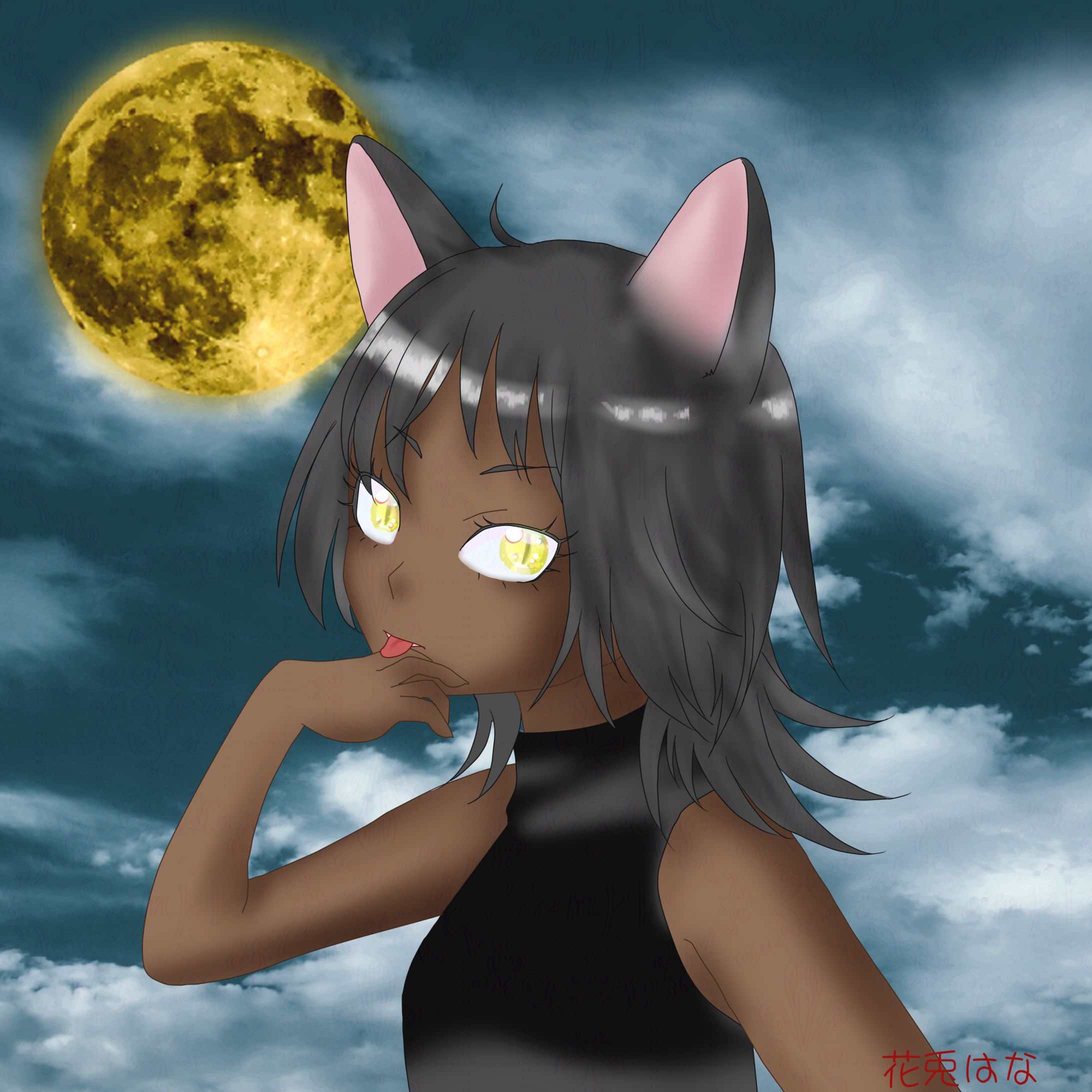 黒猫ちゃん-1