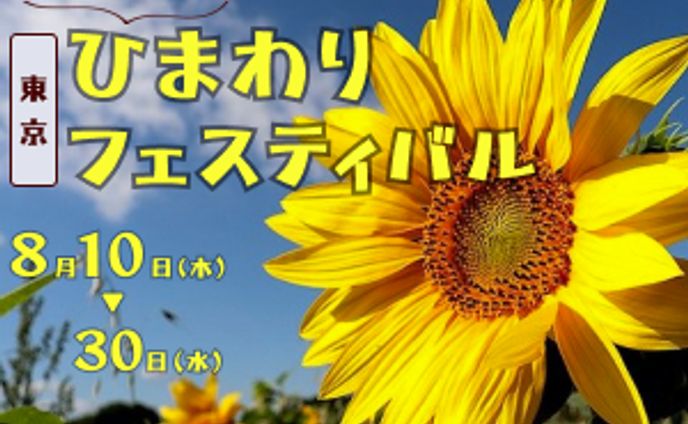 ひまわりフェスティバル（架空）　バナー