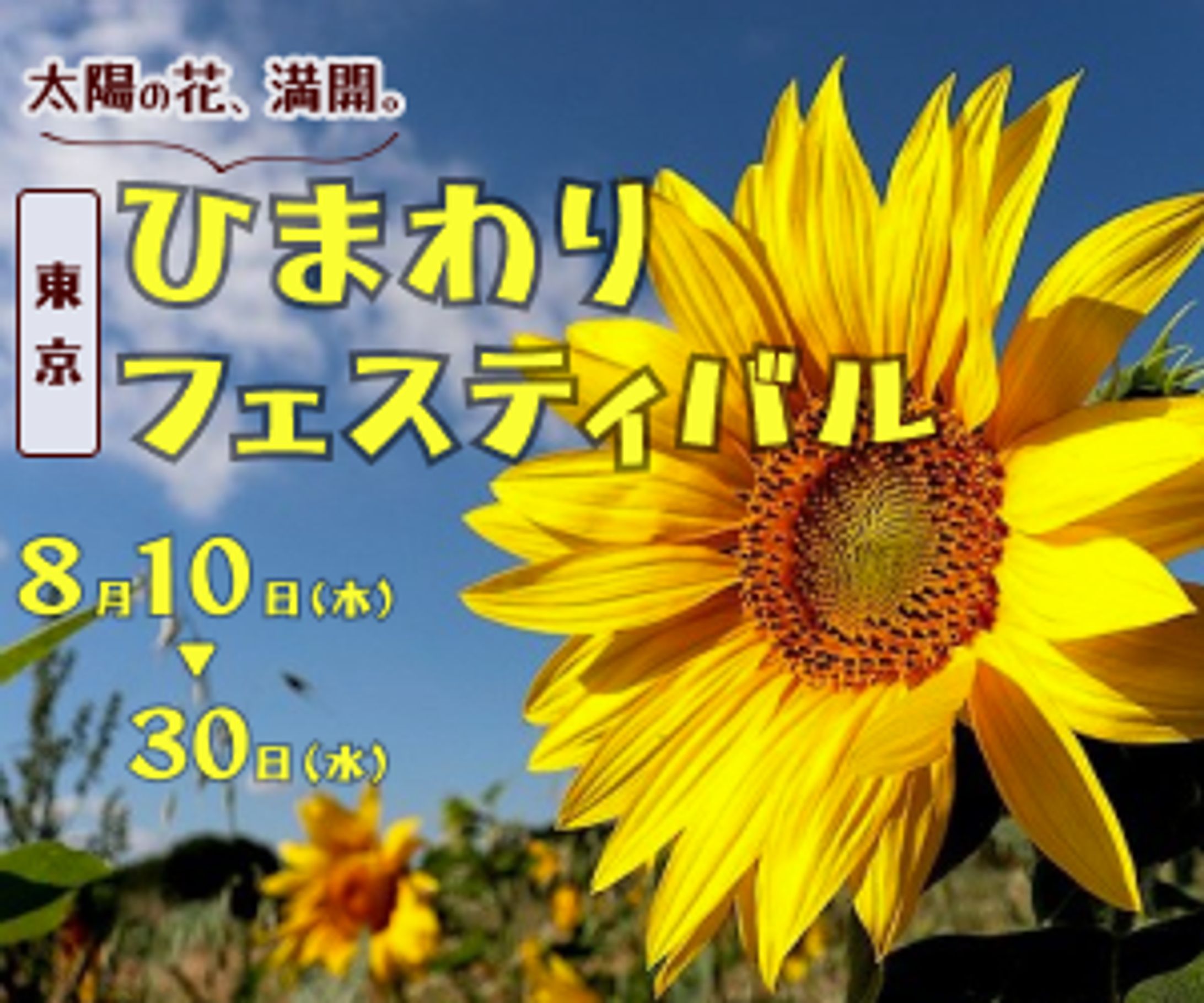 ひまわりフェスティバル（架空）　バナー-1