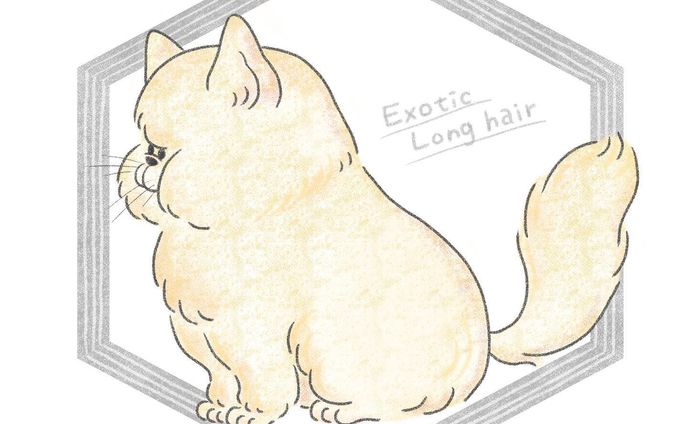 はなペチャ…
というよりめり込んでる。

#イラストレーター#イラスト#デジタルイラスト#動物#猫#エキゾチック#エキゾチックロングヘア#ペット#illustrator#illustration#art#animal#cat#exotic#exoticlonghair#pet