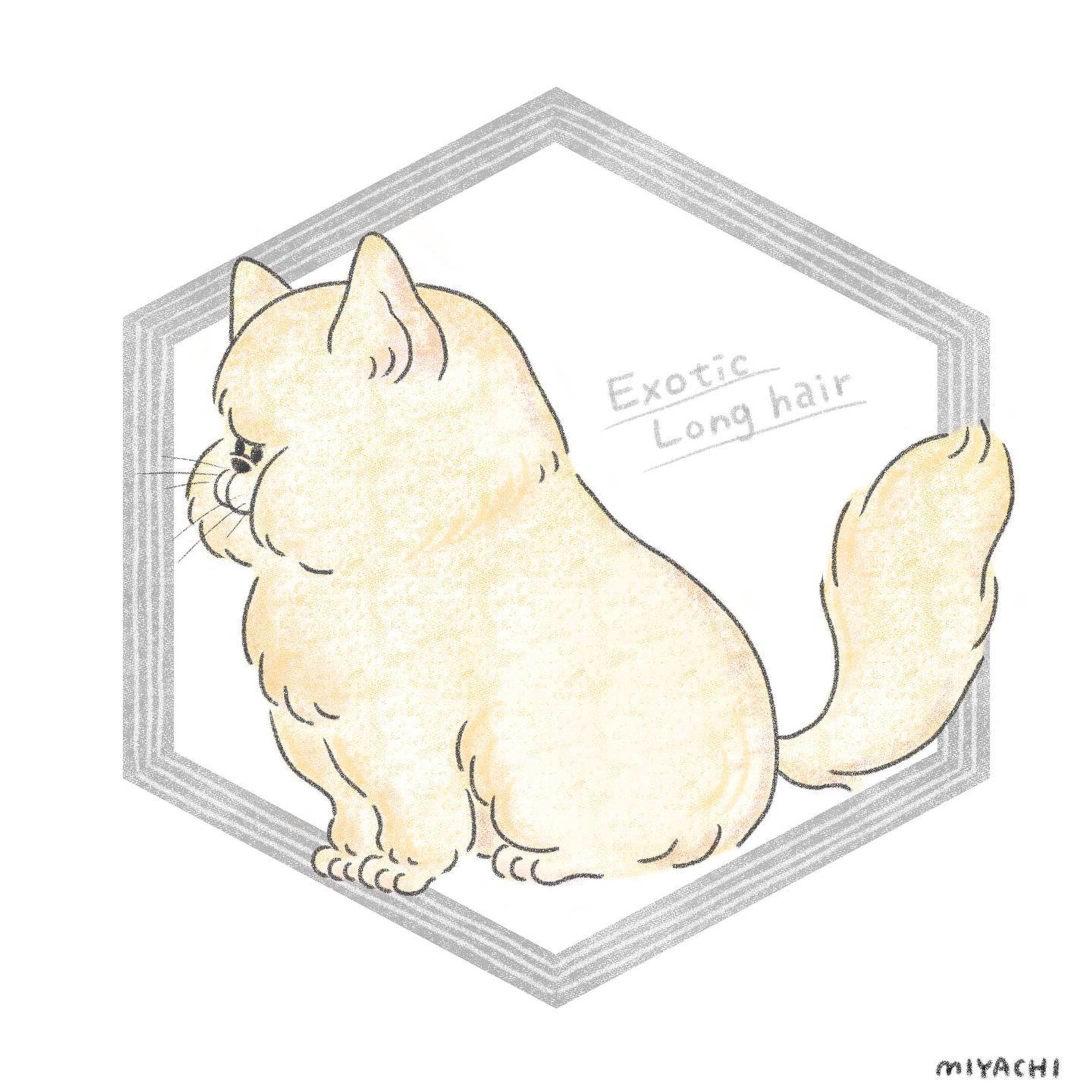 はなペチャ…
というよりめり込んでる。

#イラストレーター#イラスト#デジタルイラスト#動物#猫#エキゾチック#エキゾチックロングヘア#ペット#illustrator#illustration#art#animal#cat#exotic#exoticlonghair#pet-1