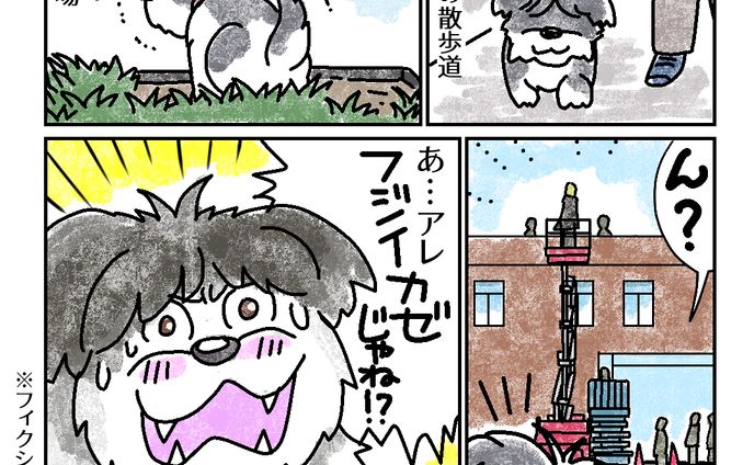 20250126紅白の裏側にいたワンコ