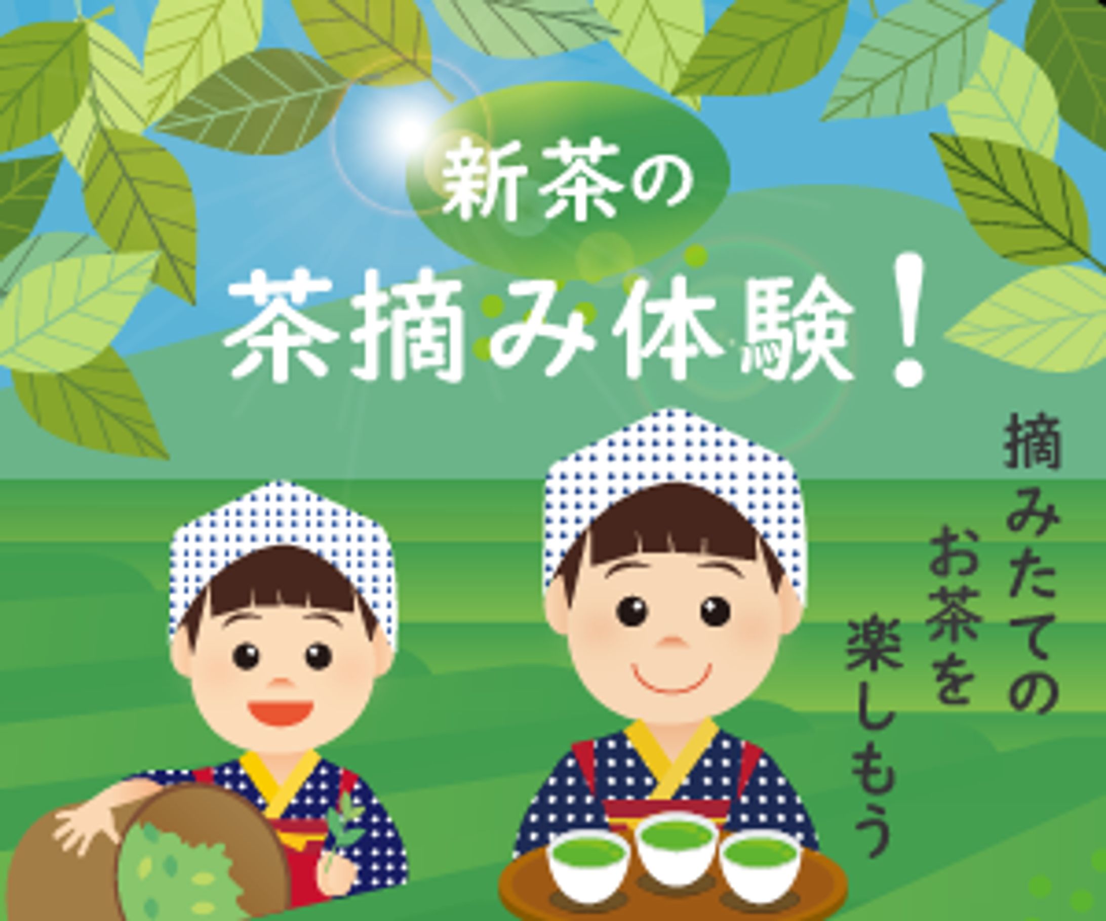 茶摘みバナー-1