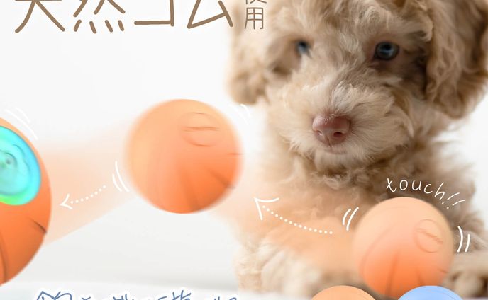 【商品画像】犬用おもちゃ電動ボール