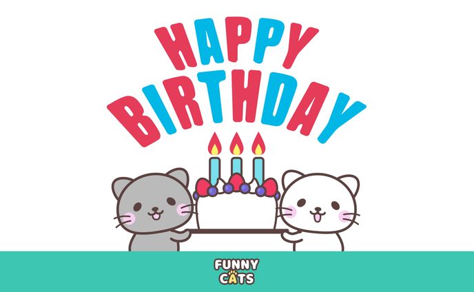 誕生日を祝ってくれる猫達