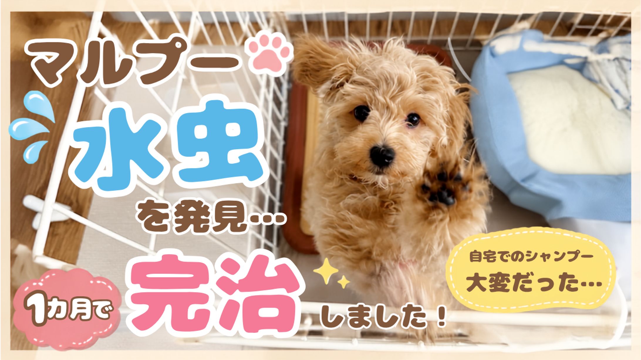 YouTubeサムネイル　ペット-1