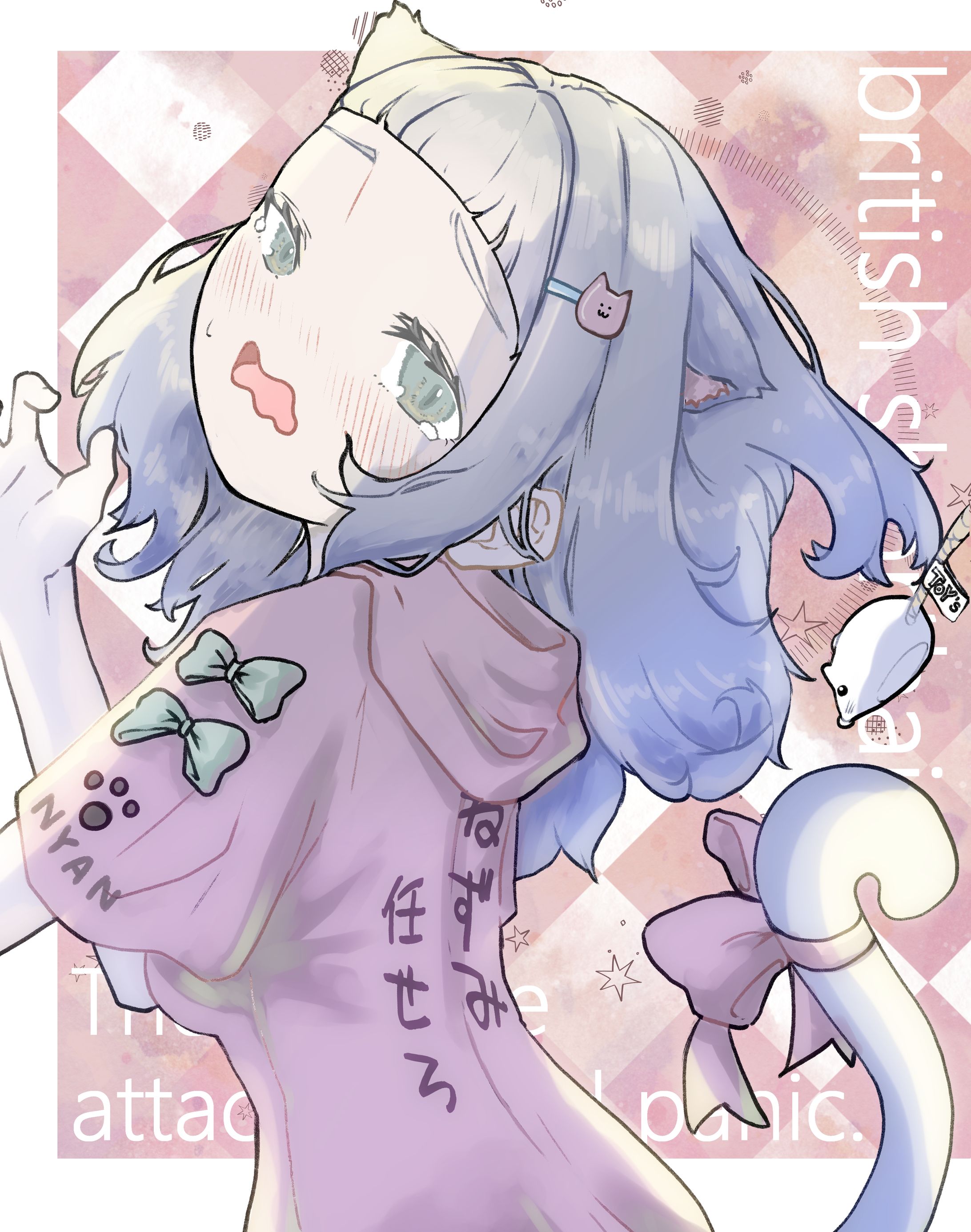 ブリティッシュショートヘア子-1