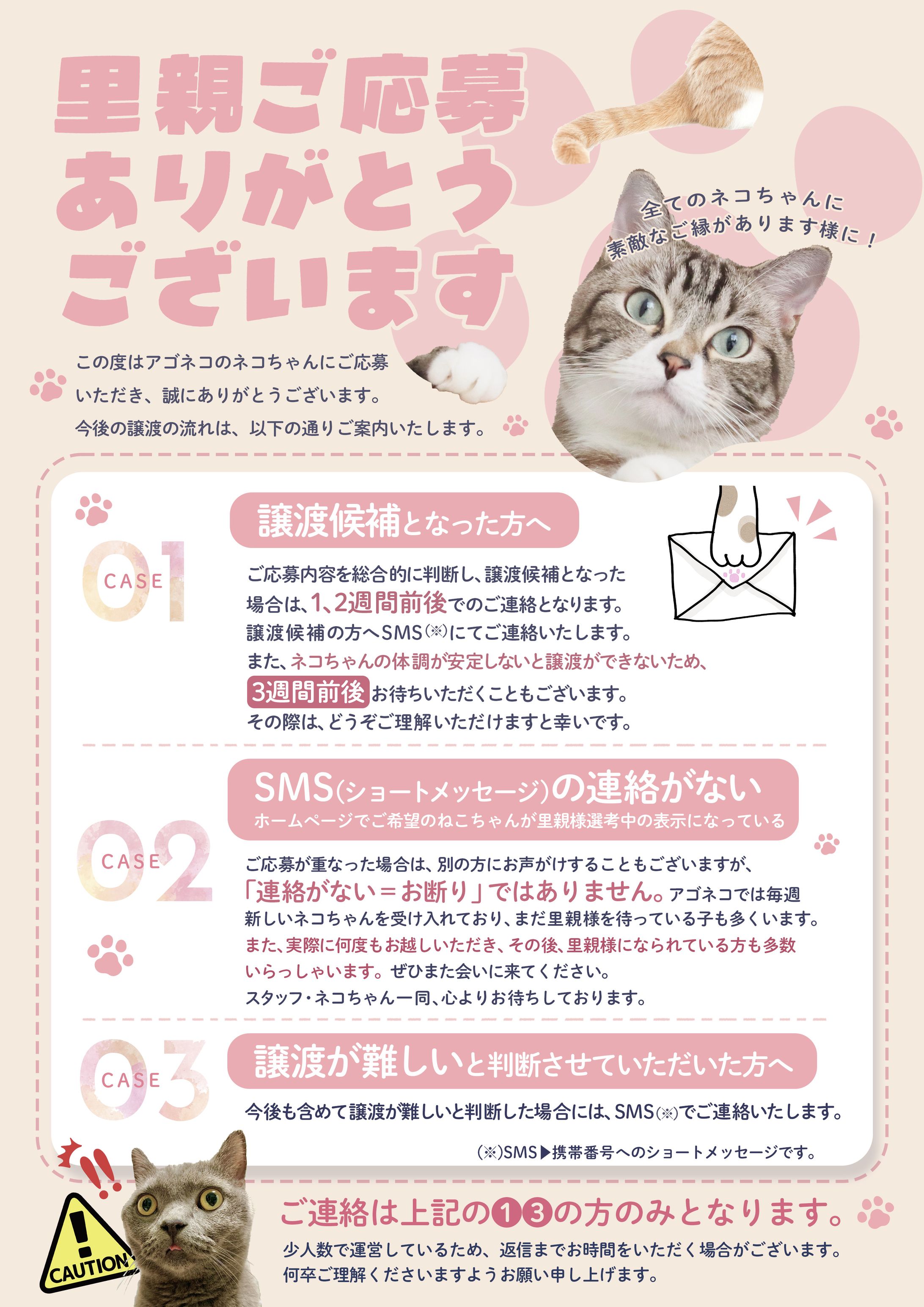 保護ねこ譲渡説明チラシ-1