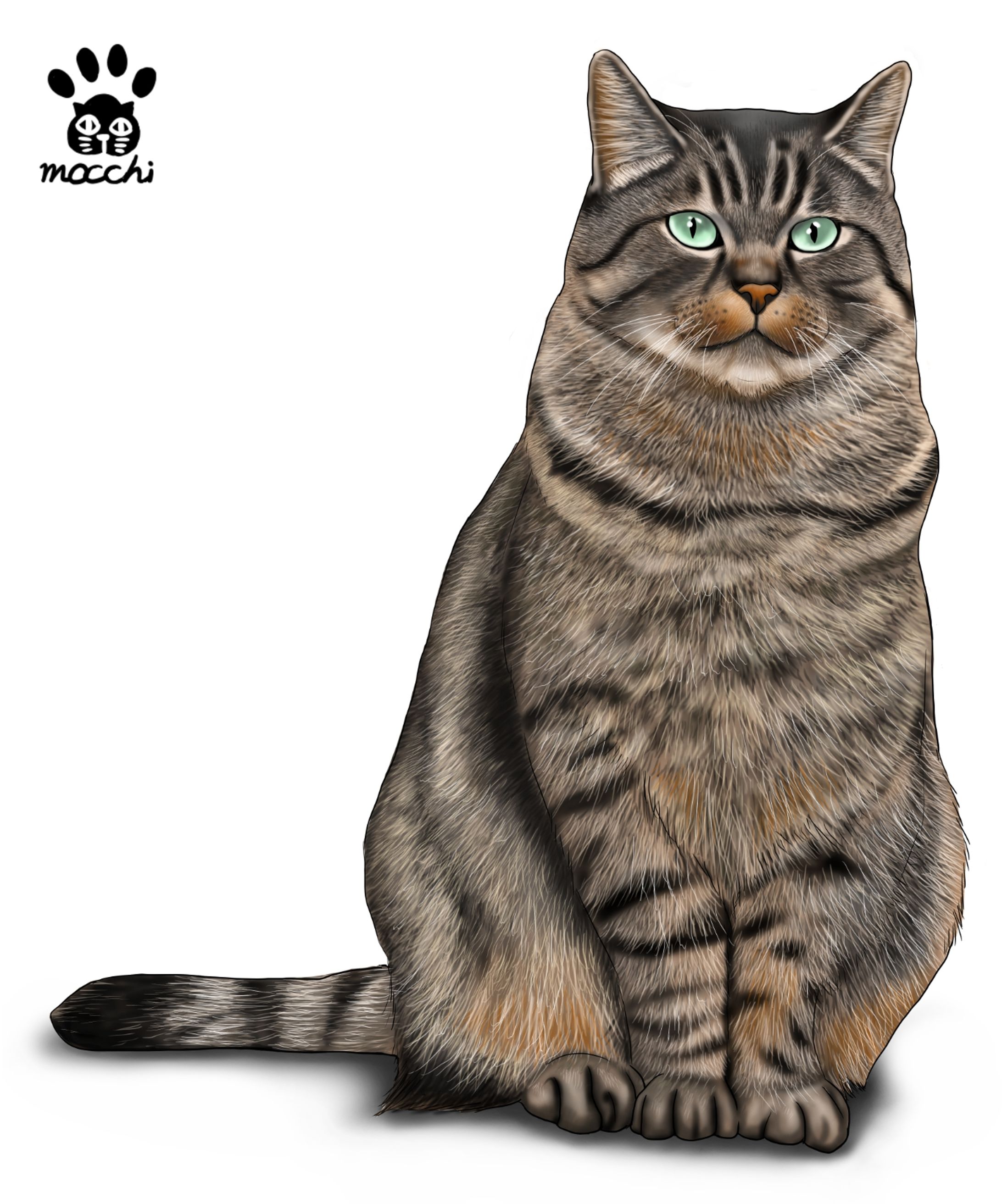 きじとらねこ-1