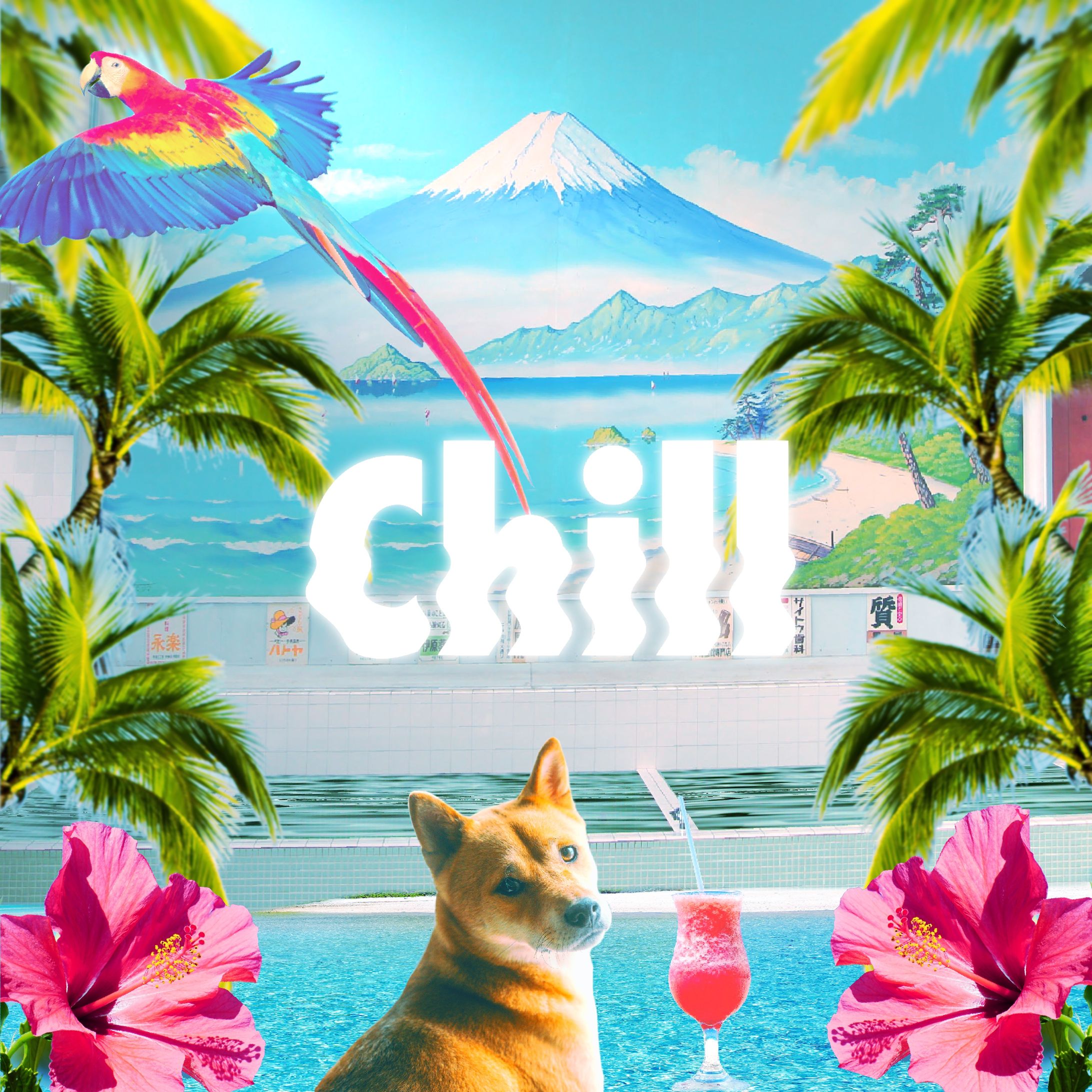 CHILL-1