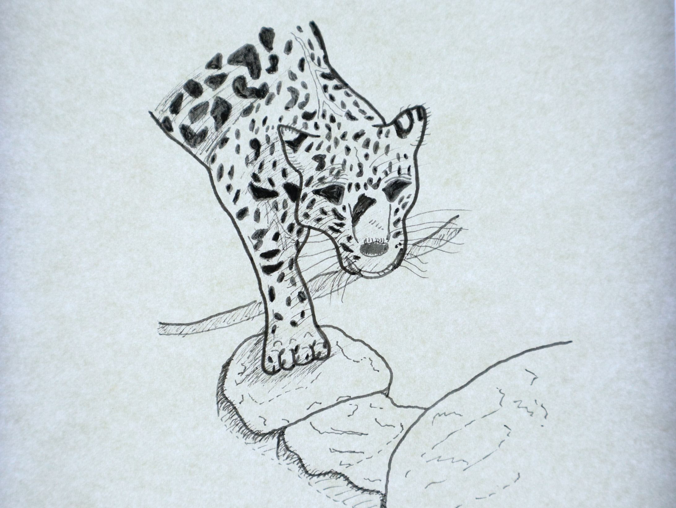 Jaguar-1